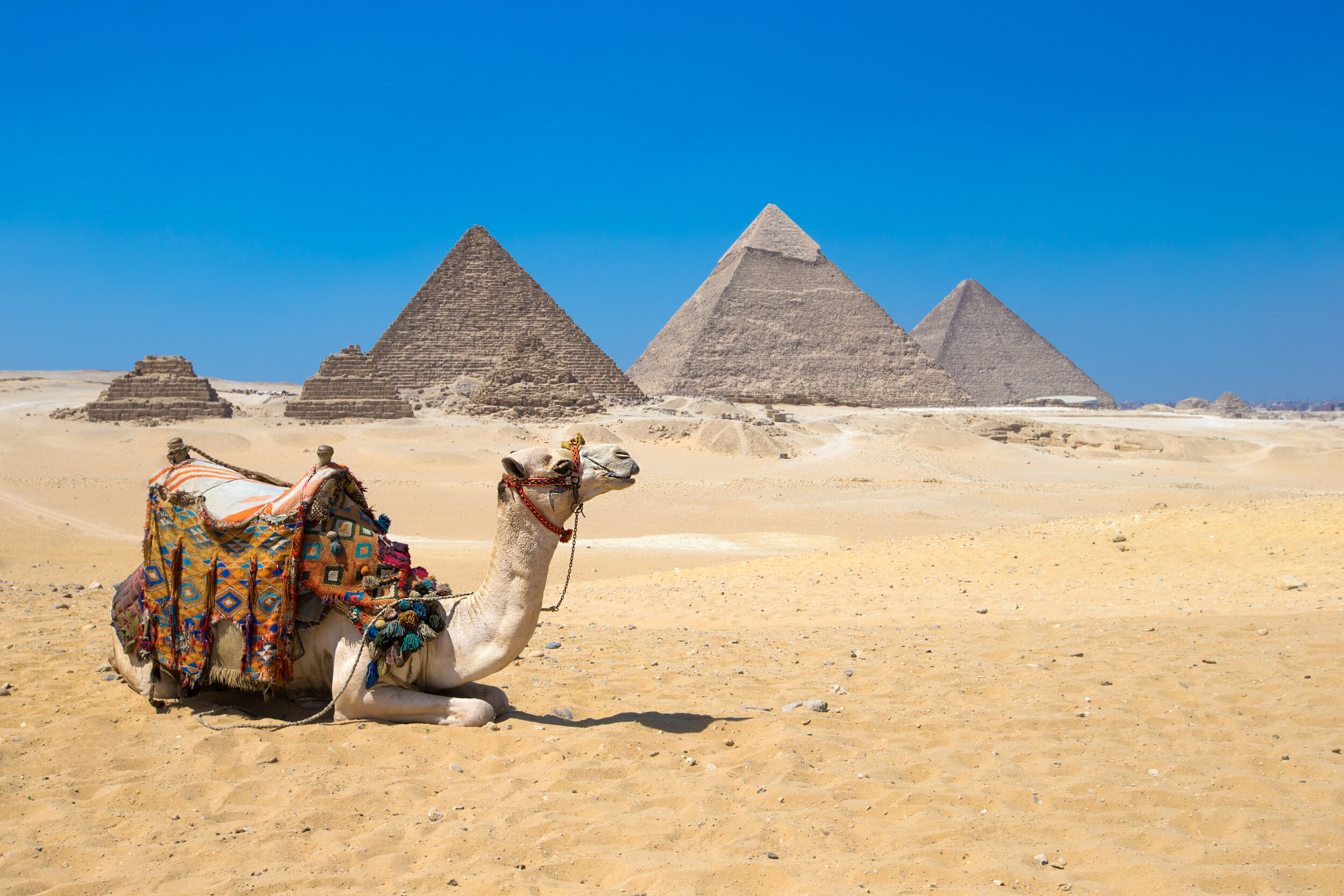 D-Egypt - Giza in Cairo.jpeg