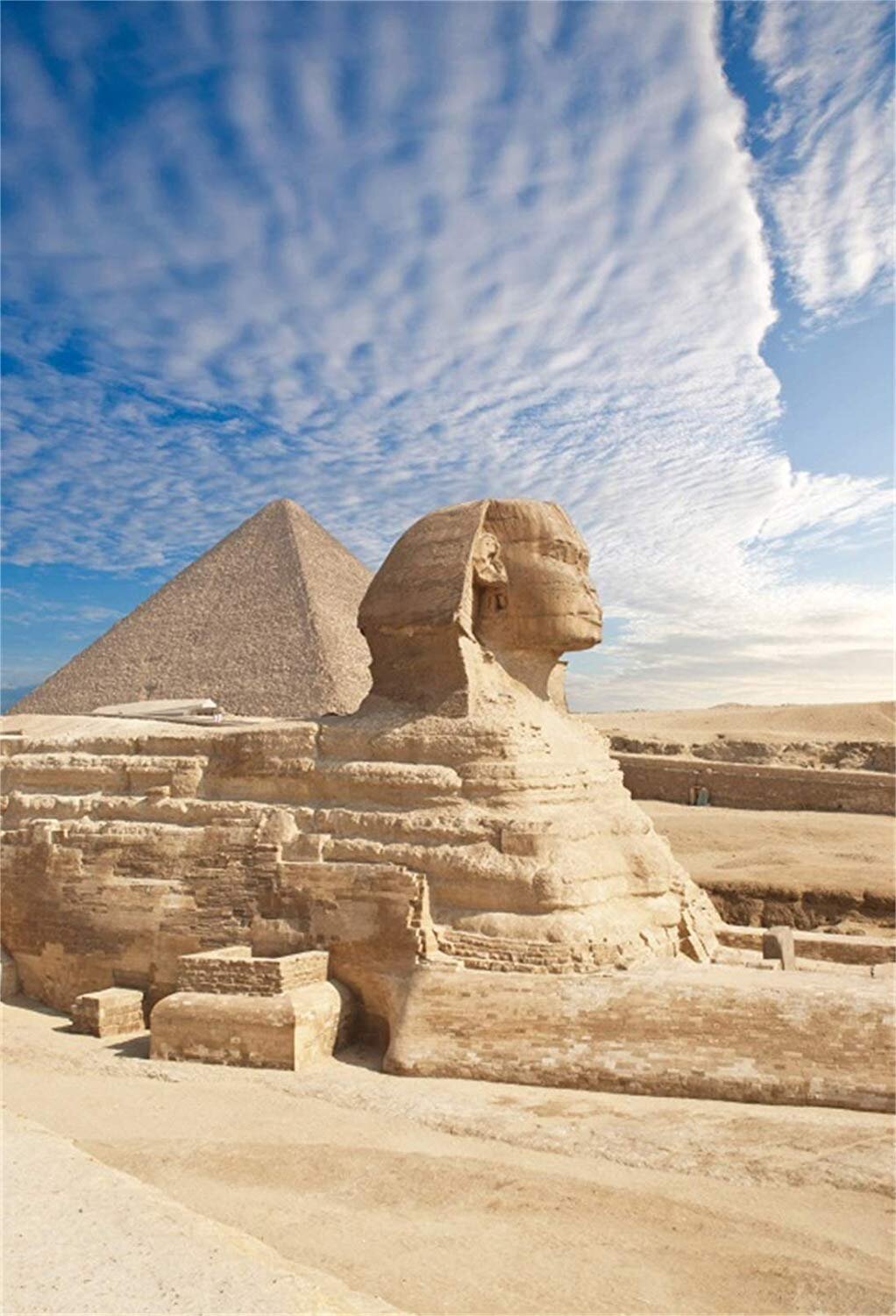 D-Egypt.jpg