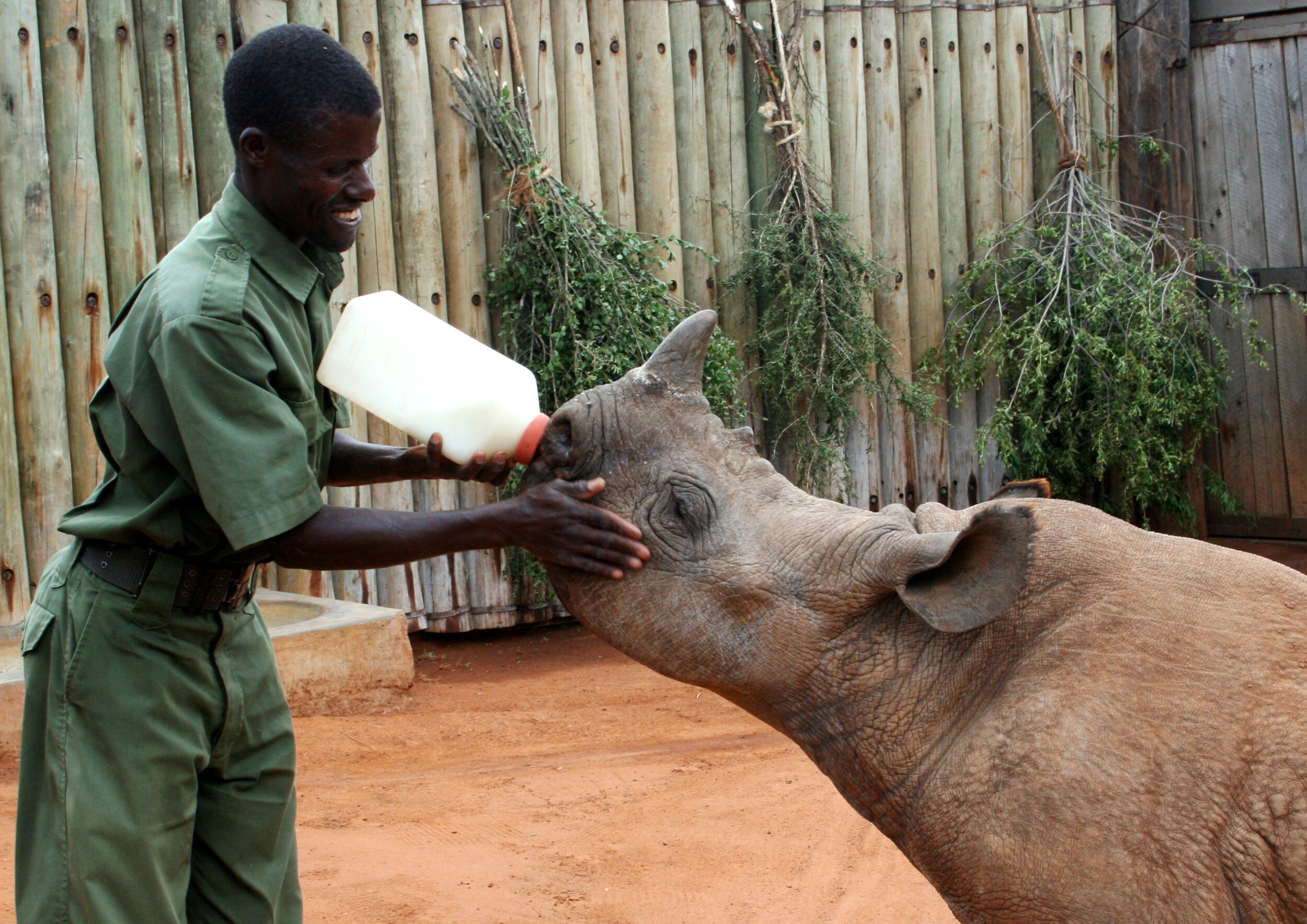 H-Kenya-Ol Jogi-Wildlife Rescue Center-Orphaned Rhino.jpg