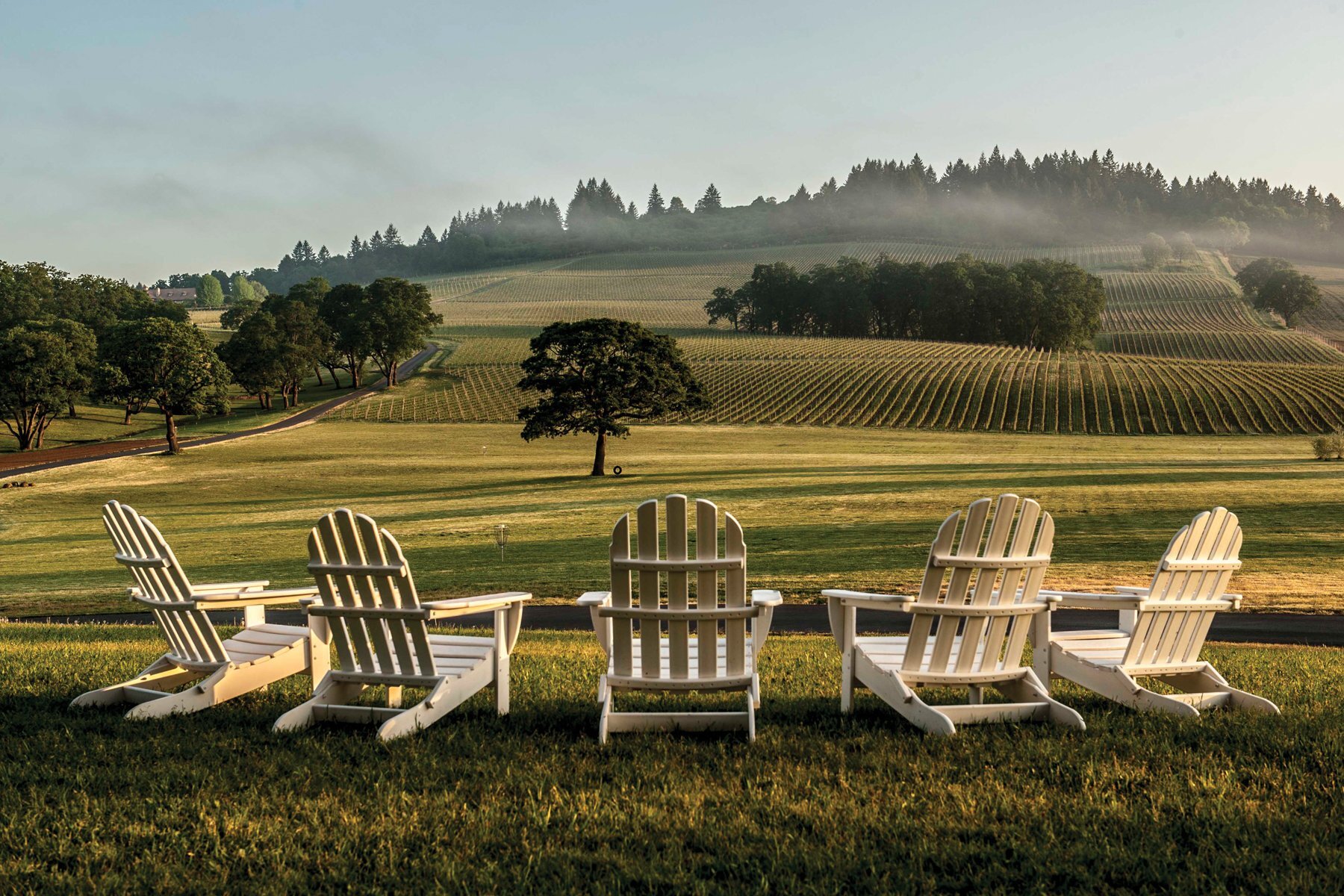 willamette valley chairs.jpg
