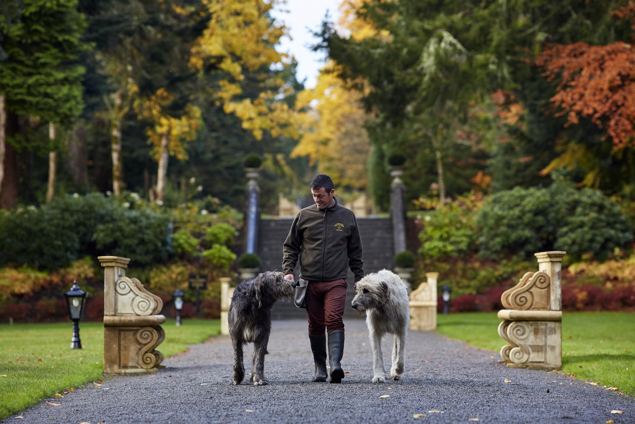 Ashford Castle Gardens dogs.jpg
