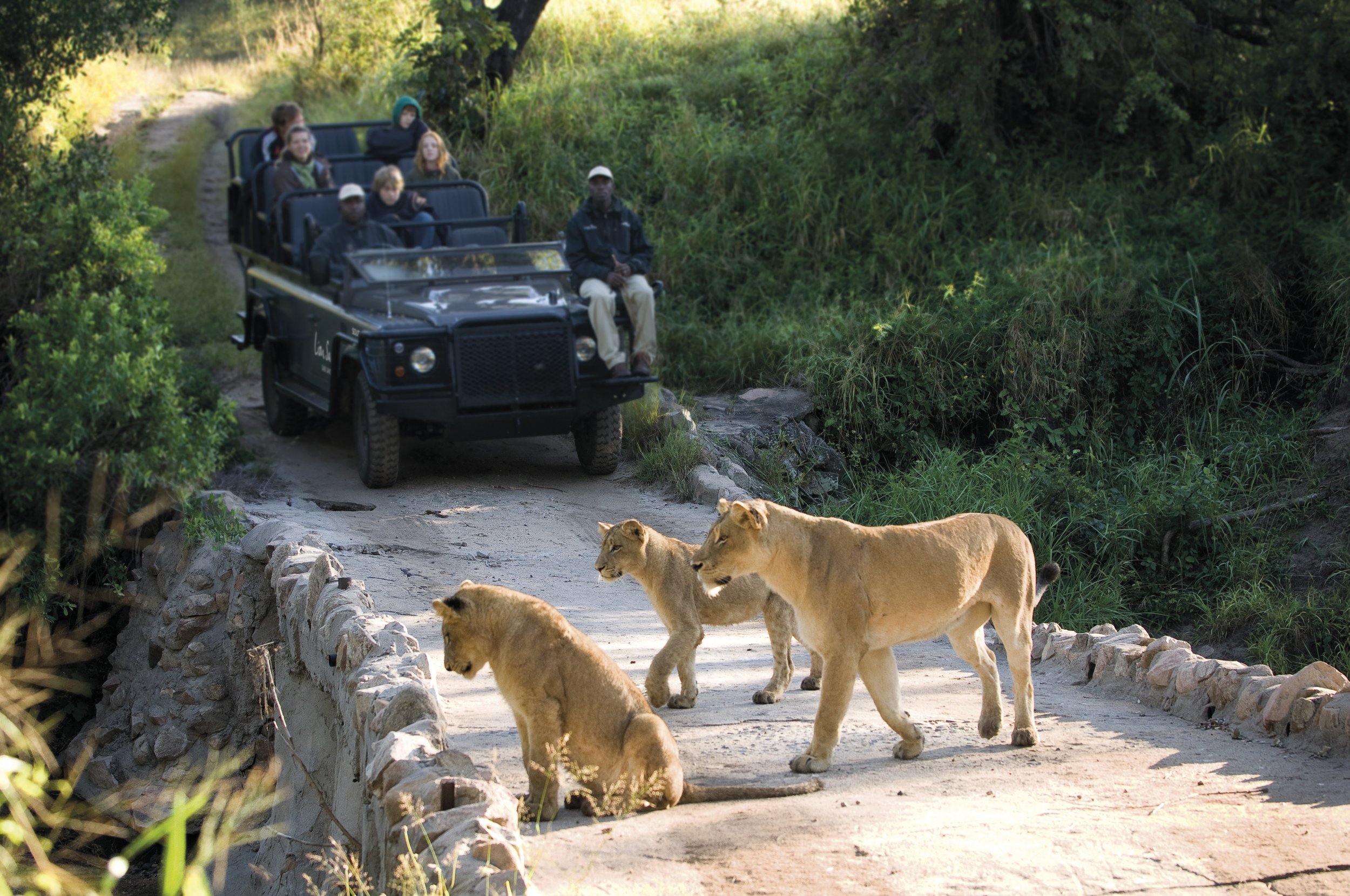 Lion Sands - Safari Drive13.jpg