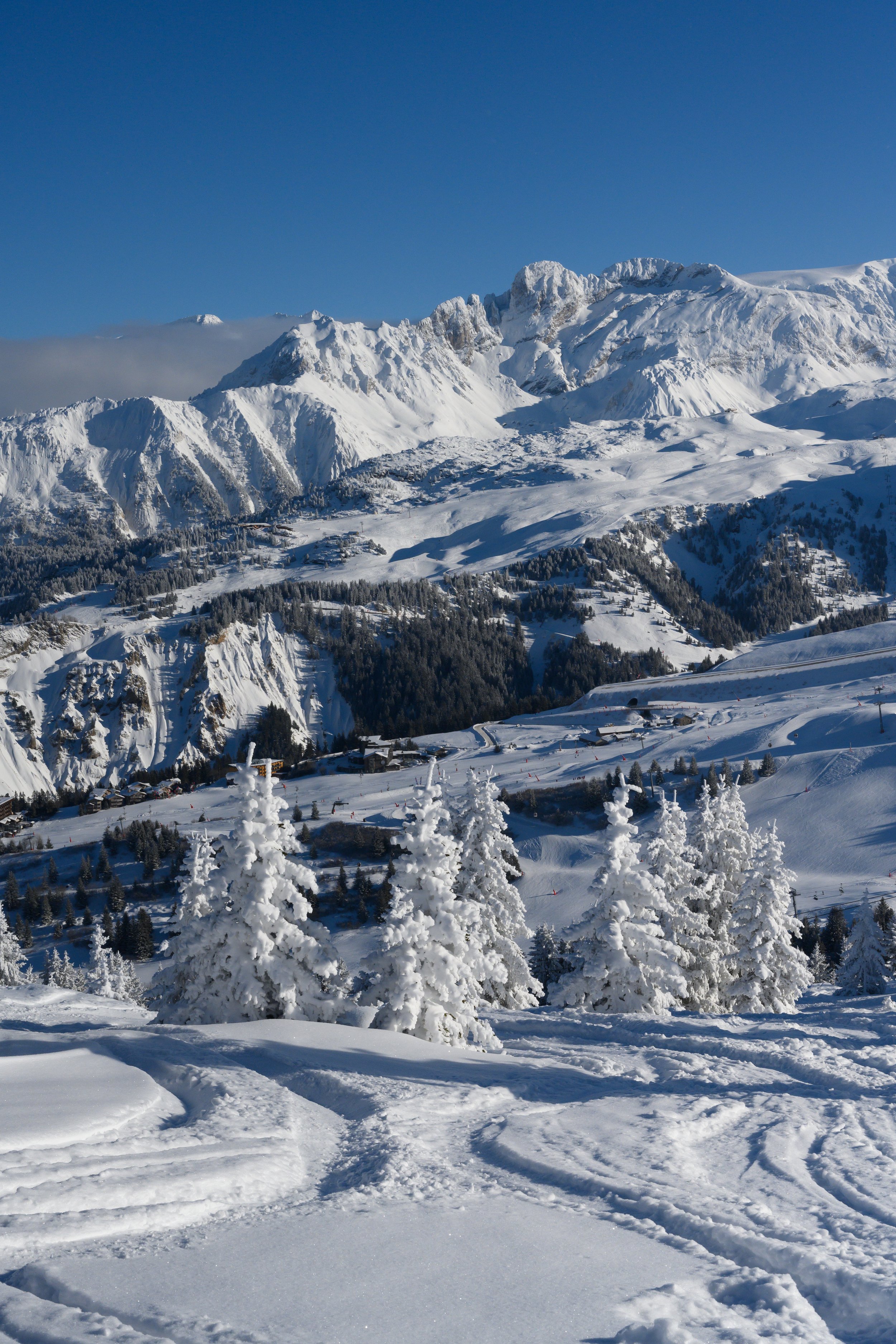 AdobeStock_290557005 (1).jpeg