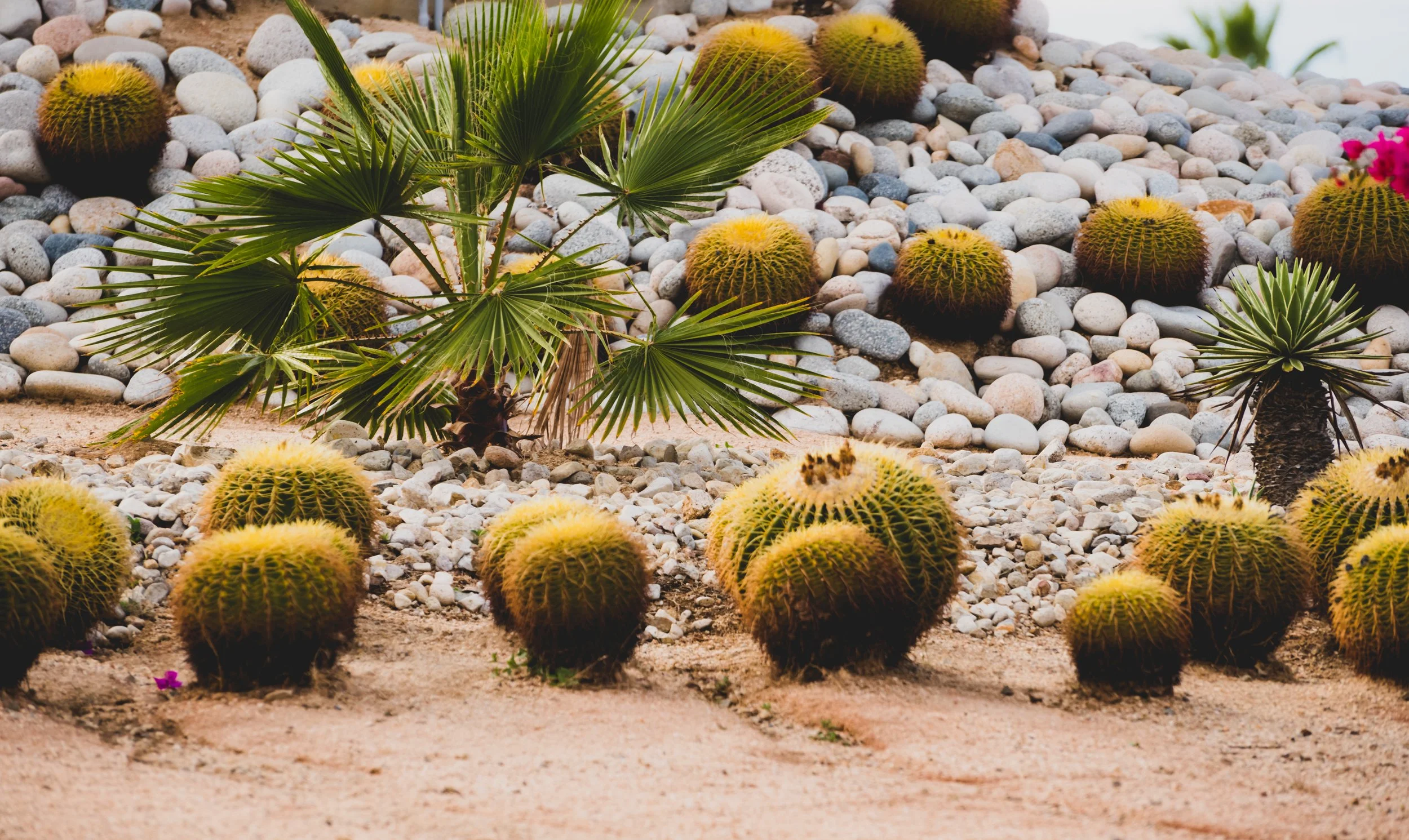 AdobeStock_358178634.jpeg