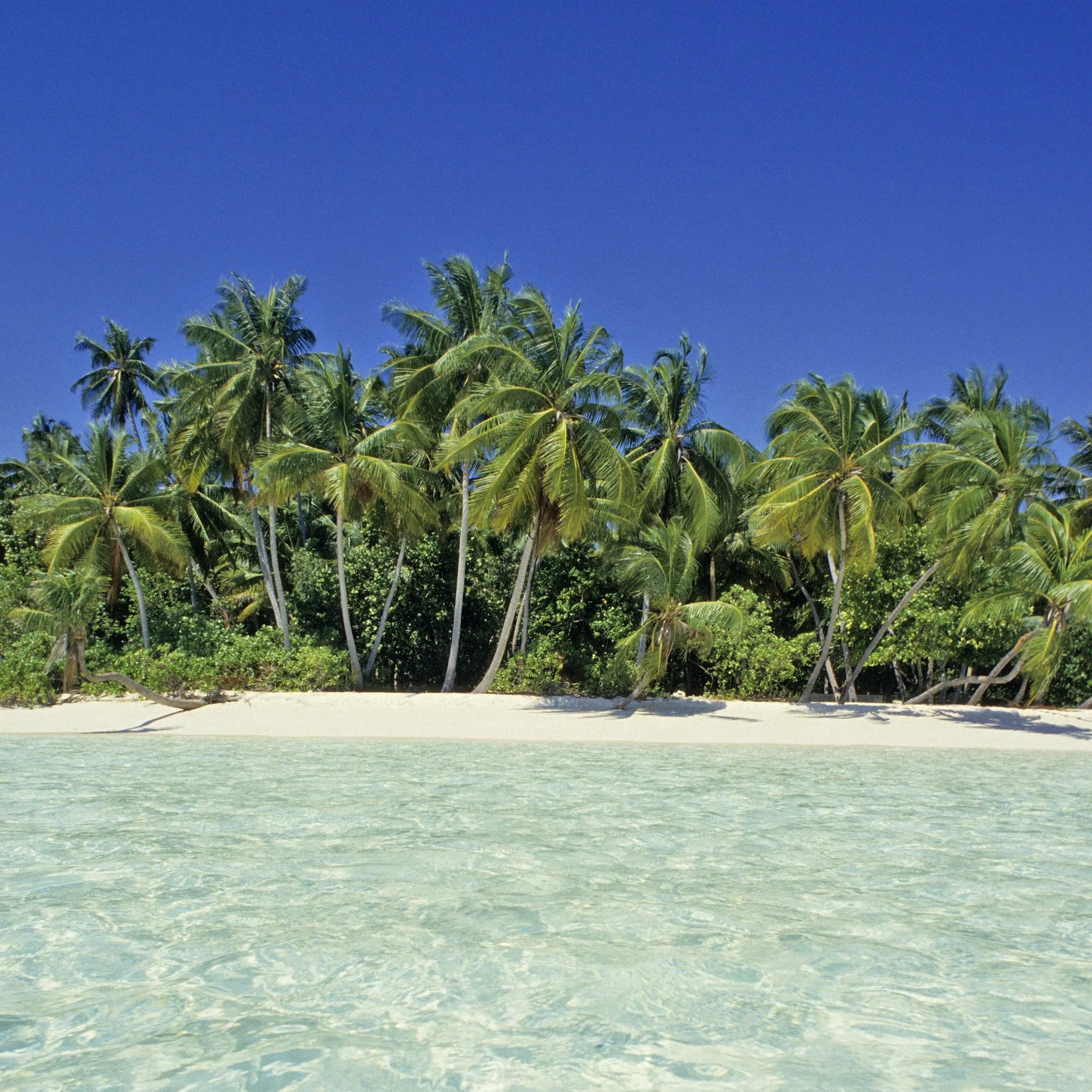 Postcard from the Maldives