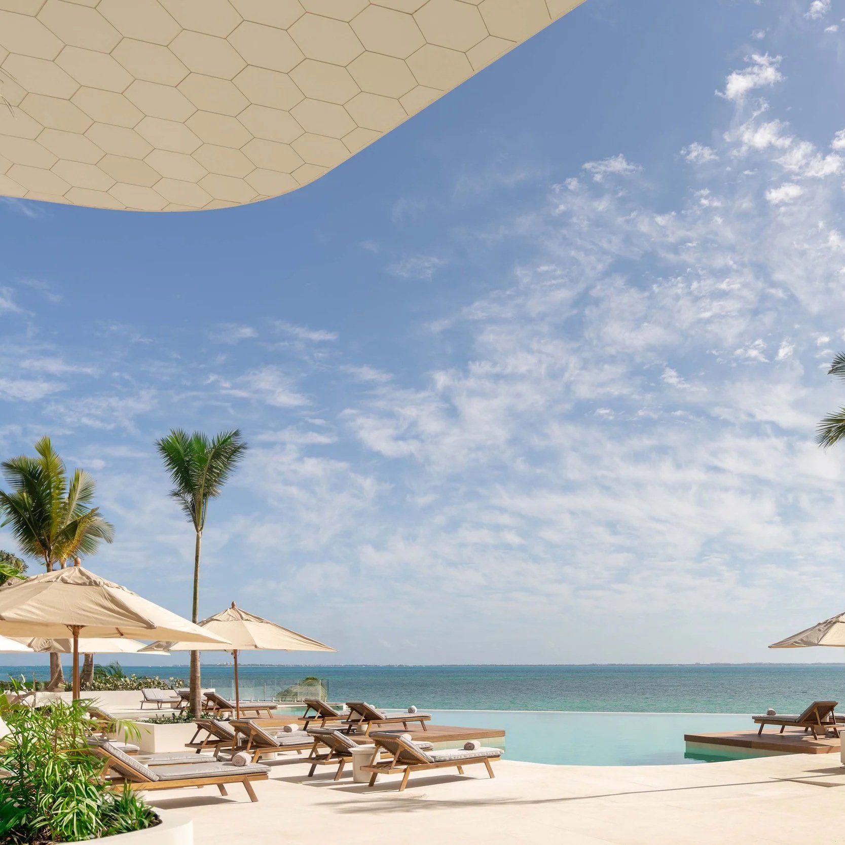 New Year’s Resolution: Serious Wellness