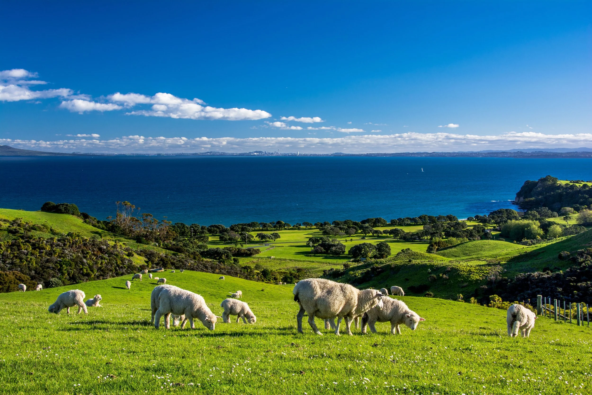 AdobeStock_256803705.jpg
