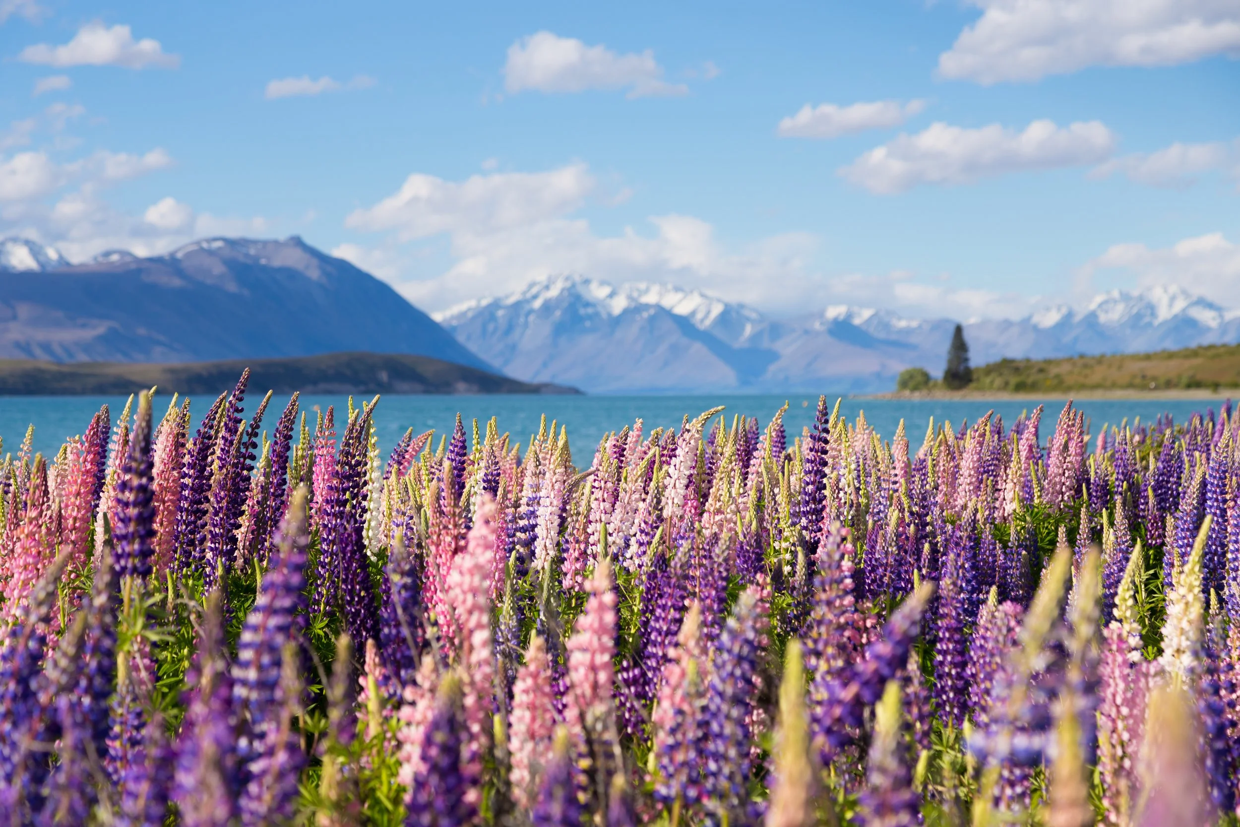 AdobeStock_128432788.jpeg
