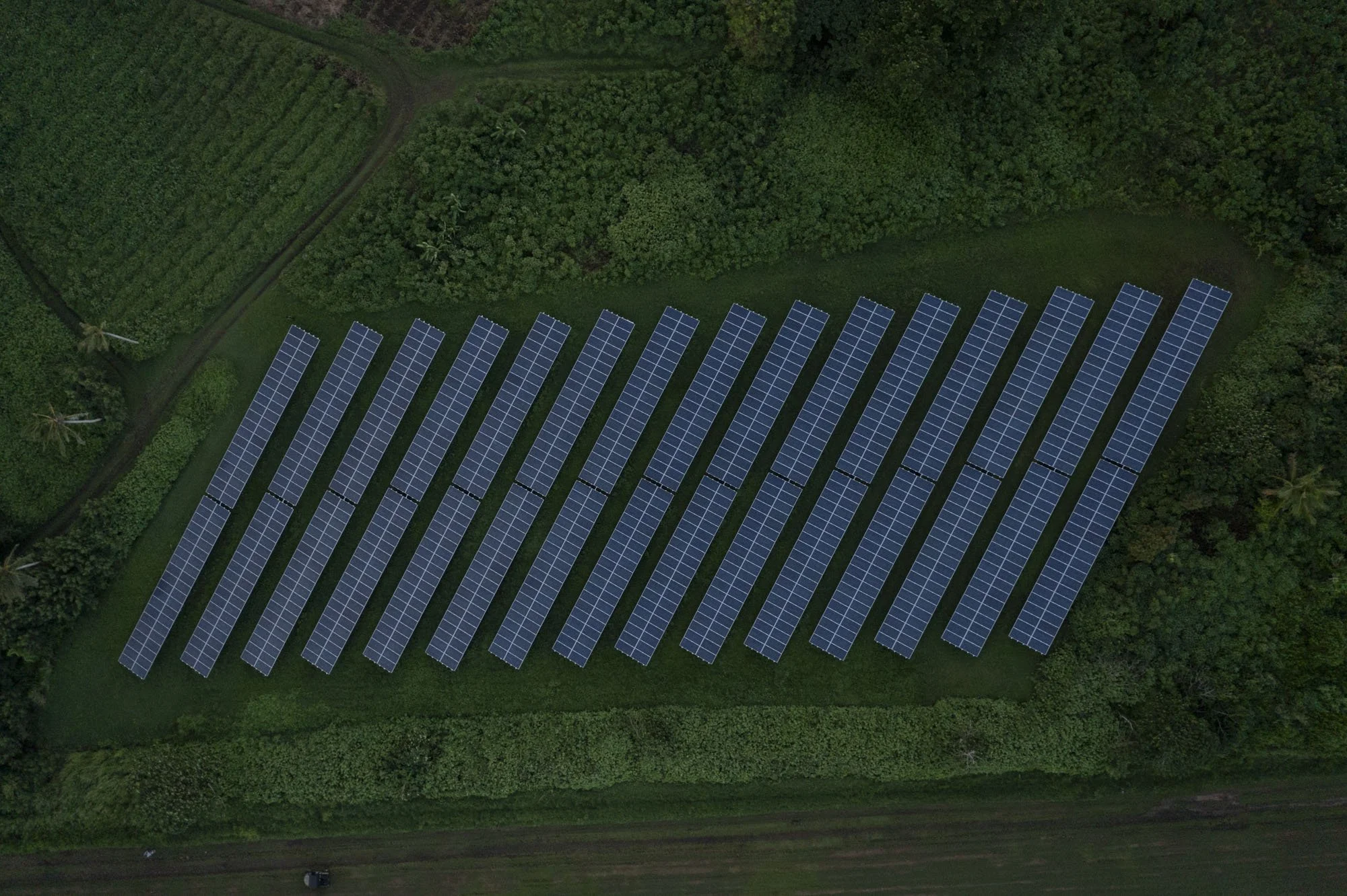 Solar Panels.jpg