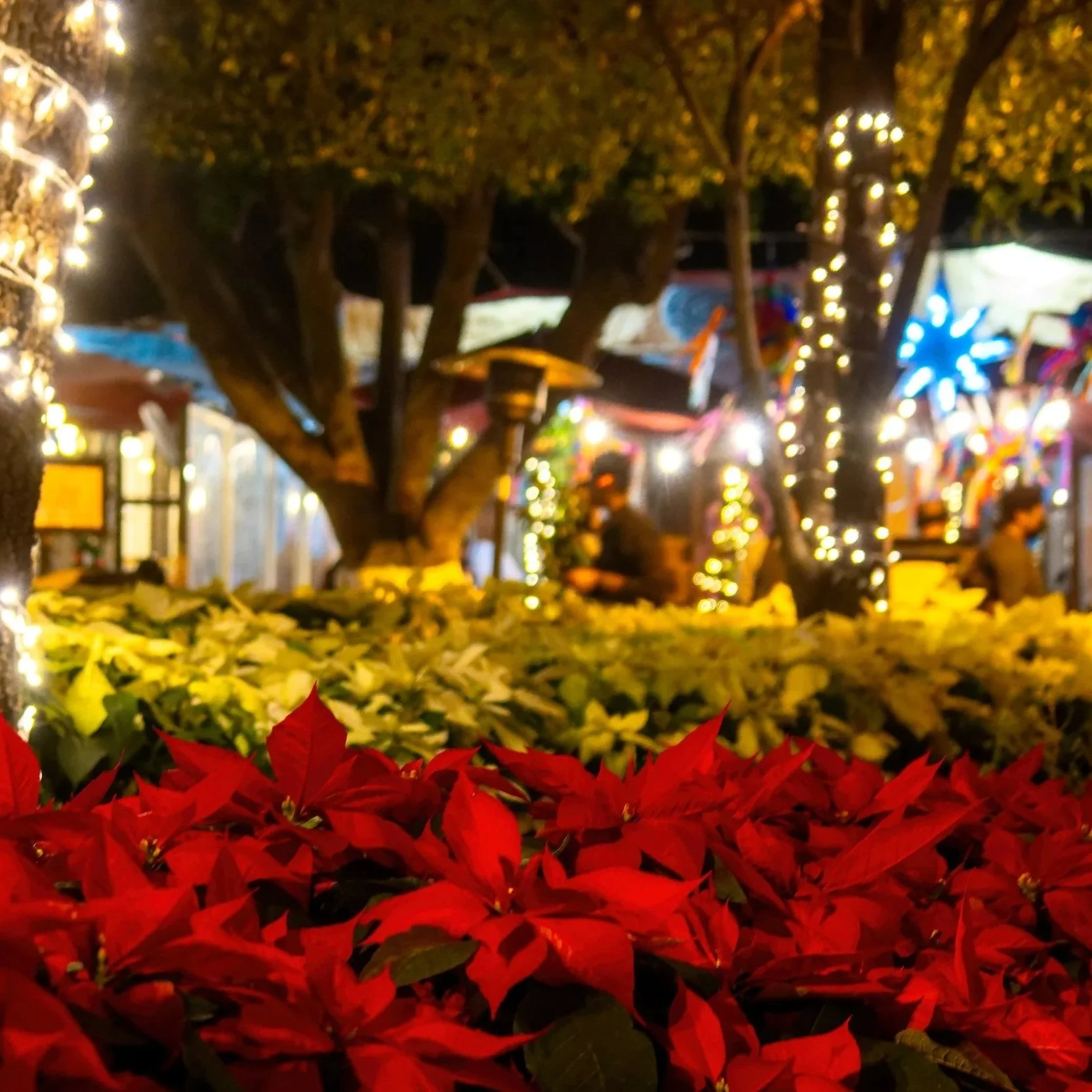 Hot Town Christmas in the City: Best Holiday Breaks for Travelers who want to be in the Action