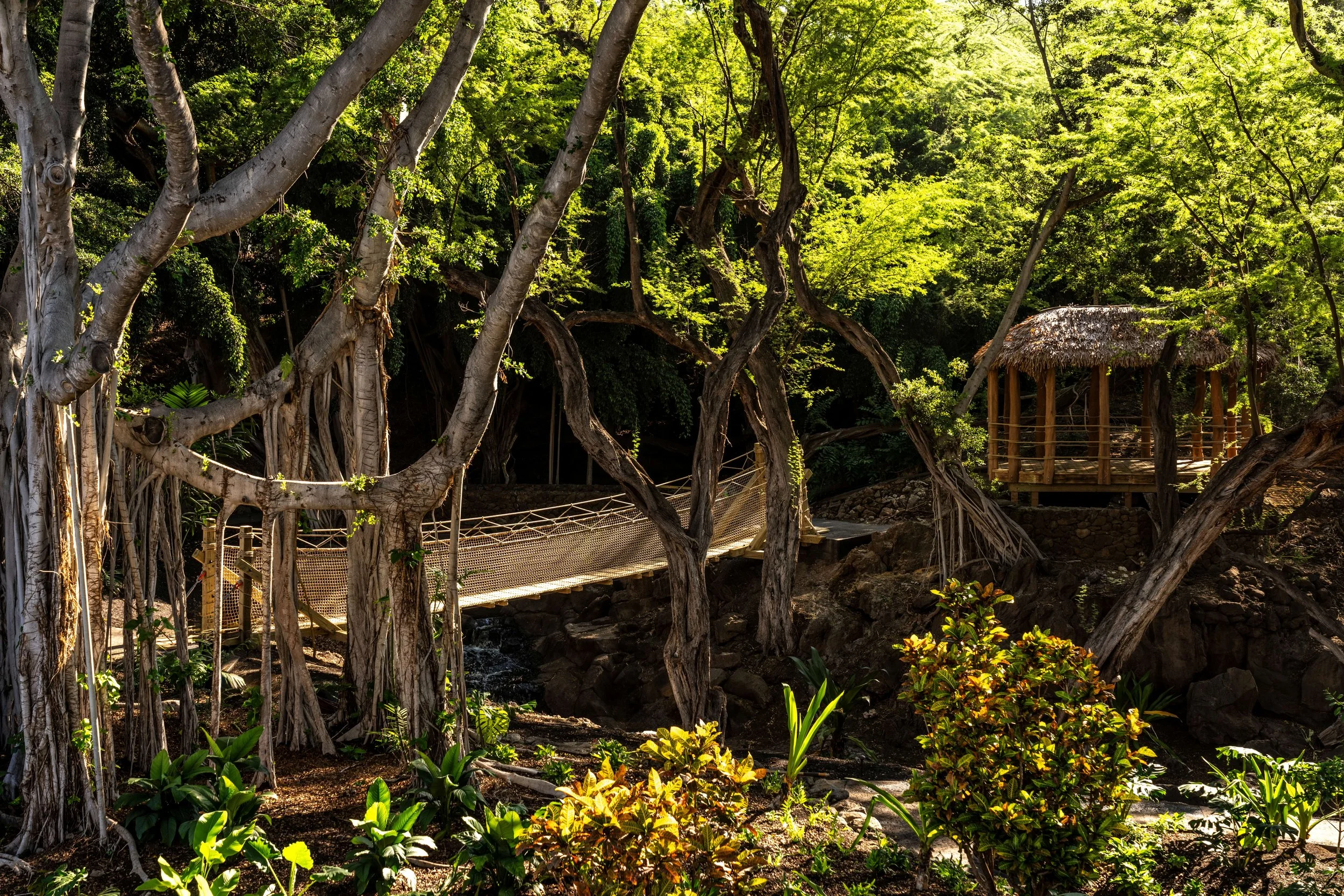 KOAAK Discovery Garden Bridge.jpg