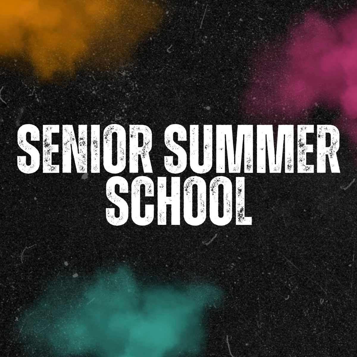 Summer School_ UNANNOUNCED square.png