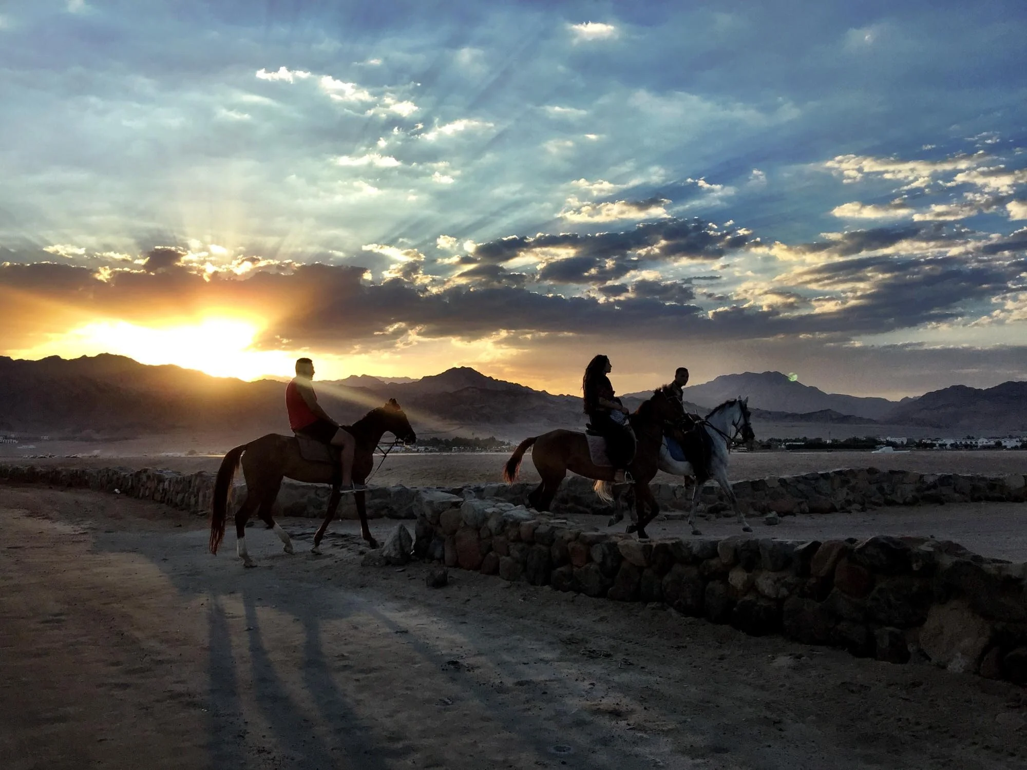 Horseriders at sunset in Dahab, Egypt