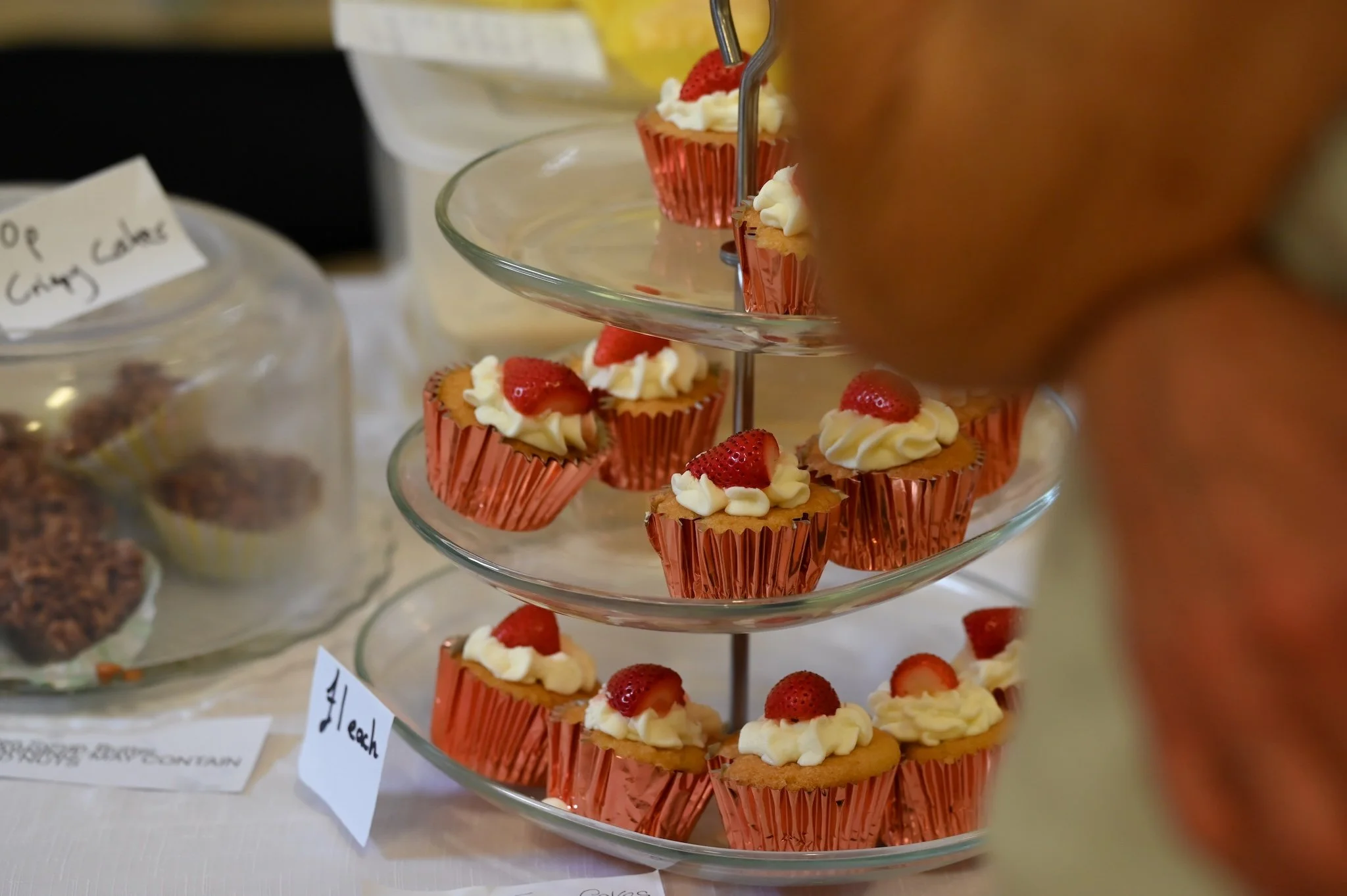 5 DSC_4599.jpg