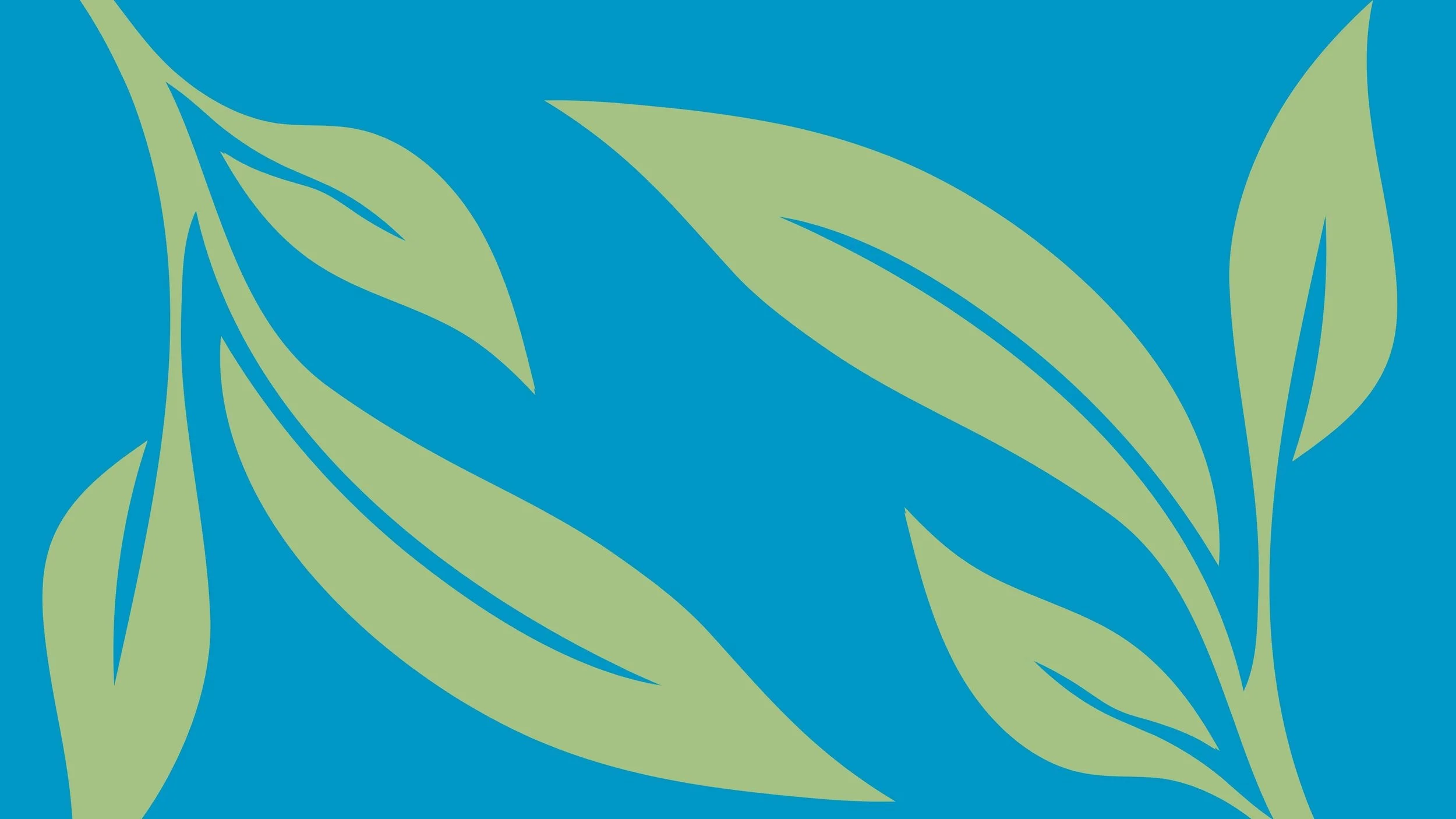 Website background.jpg