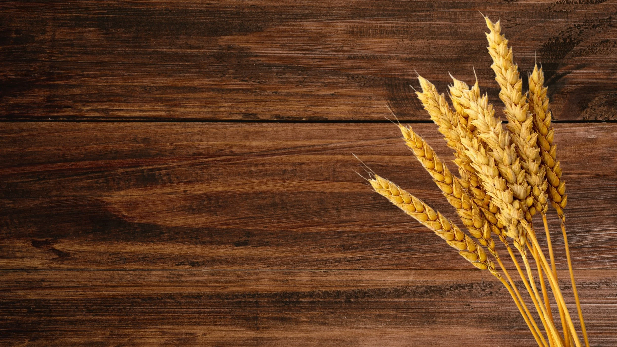 Against the Grain Background.jpg