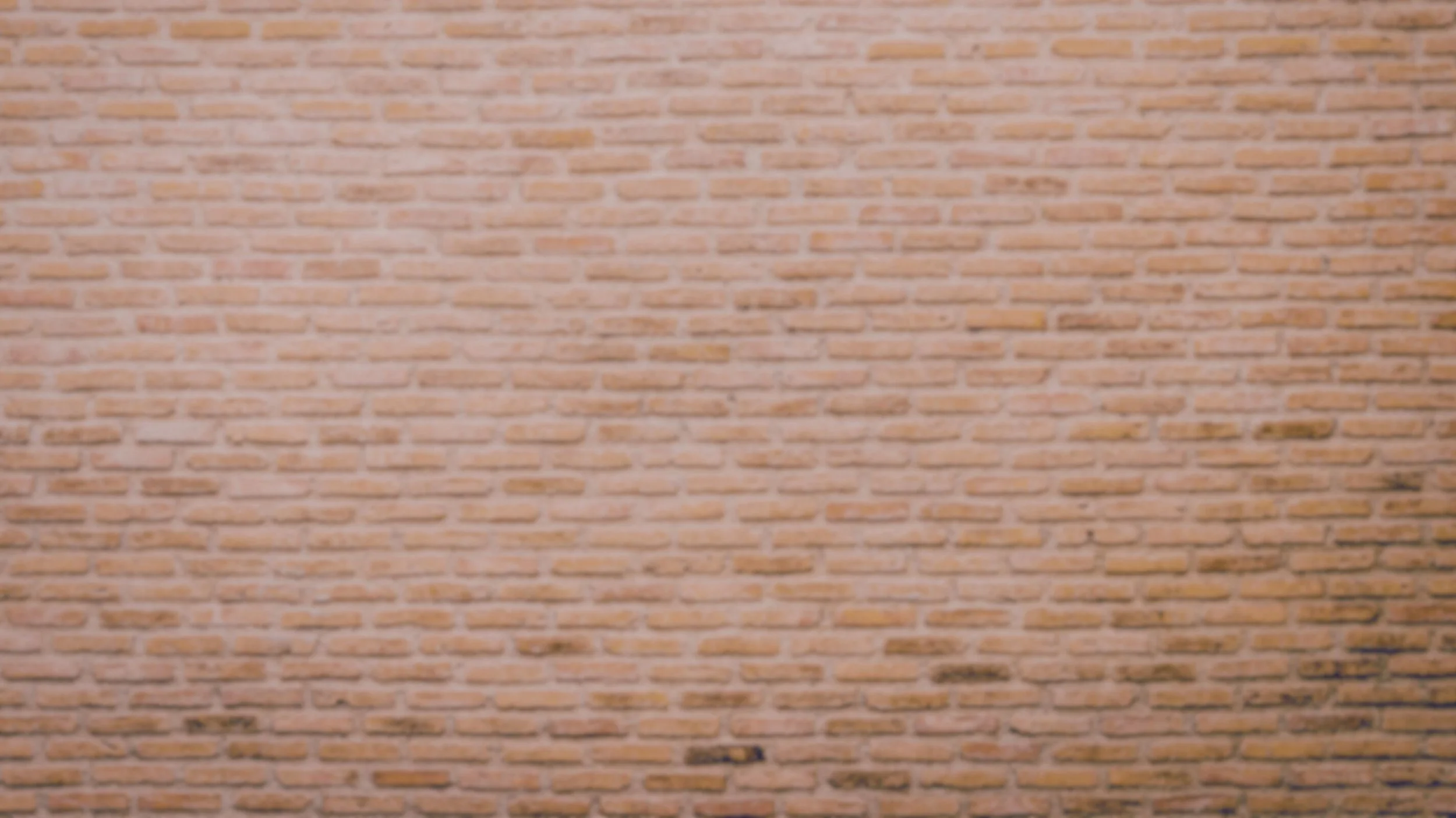 Meeting Jesus background.jpg