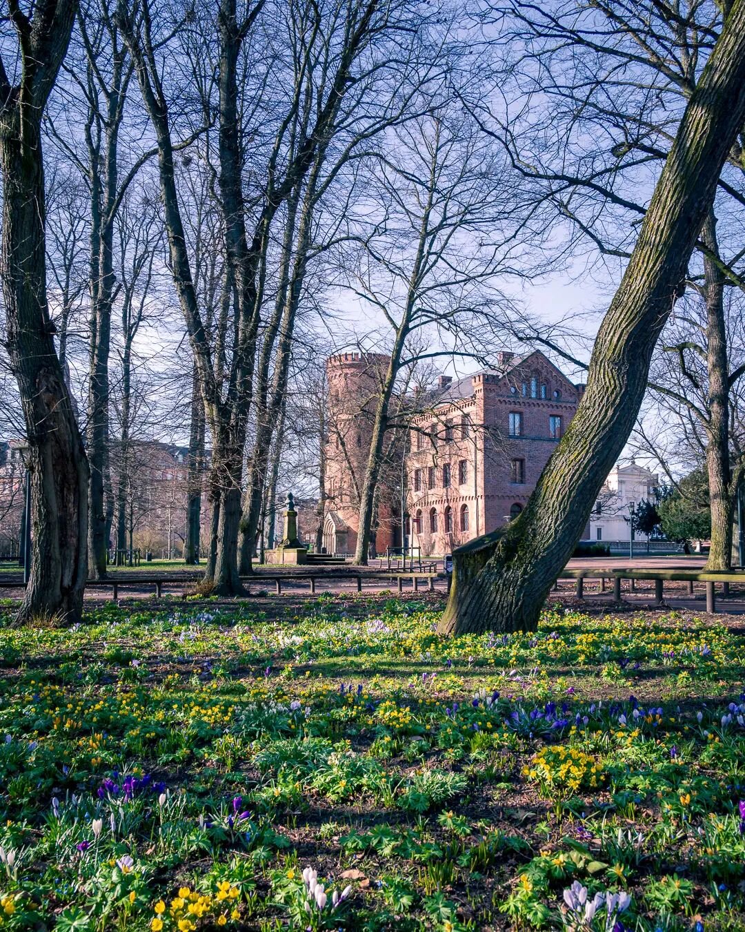 It looks like the spring will arrive this year too!
.
.
.
.
.
#lund #visitlund #igerslund #lundcity #lovelund #kings_villages #swedenimages #visitsk&aring;ne #visitsweden #sweden_by_us #igerssweden #fatalframes #igshotz #nikonphoto #nikonz6 #citylife