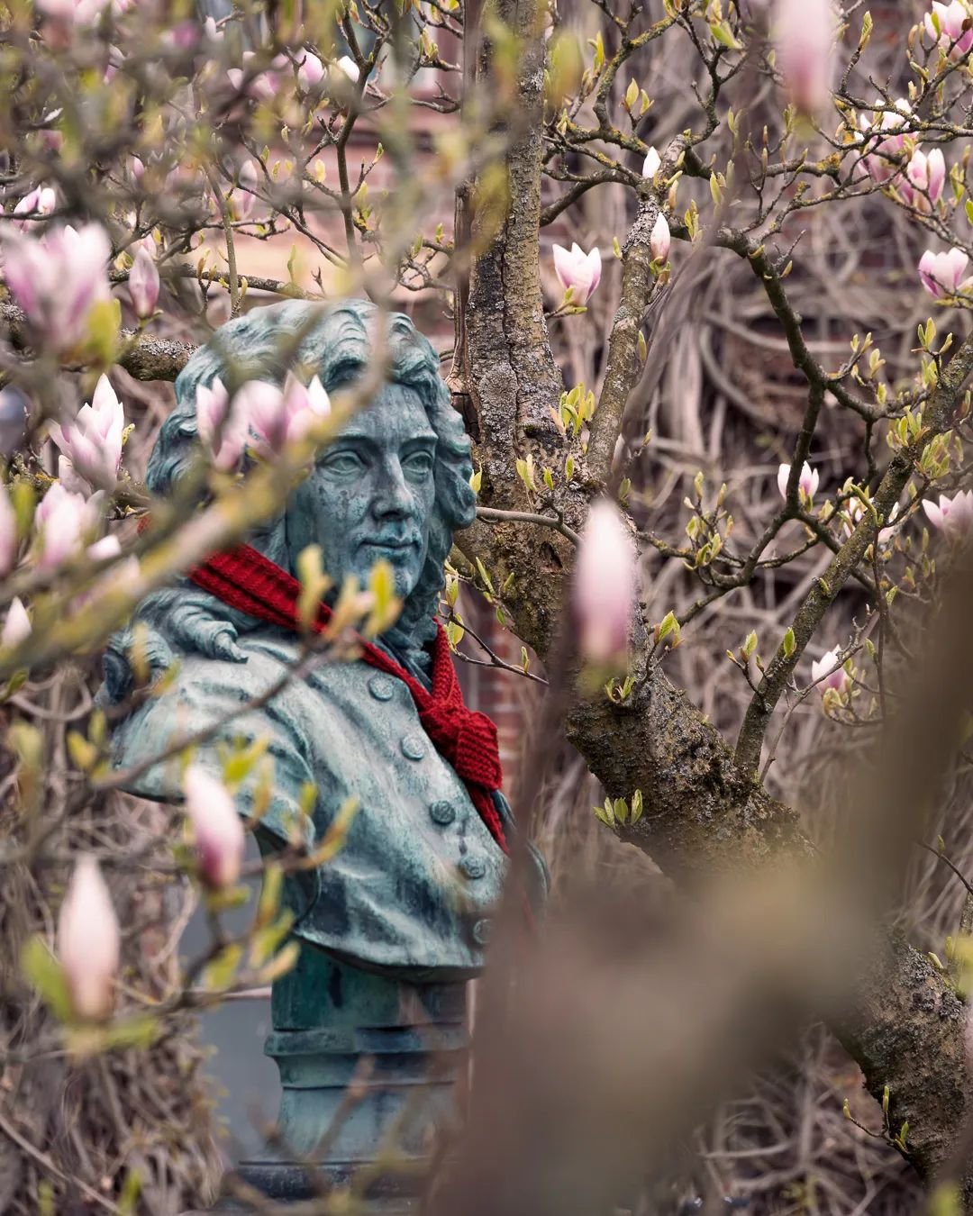 Hello hello.
.
.
.
.
.
#lund #visitlund #destination_lund #igerslund #lundcity #cherryblossom #sakura #kings_villages #swedenimages #sweden_by_us #igerssweden #fatalframes #igshotz #nikonphoto #nikonz6 #citylife #europesfinest #europeancities #nature