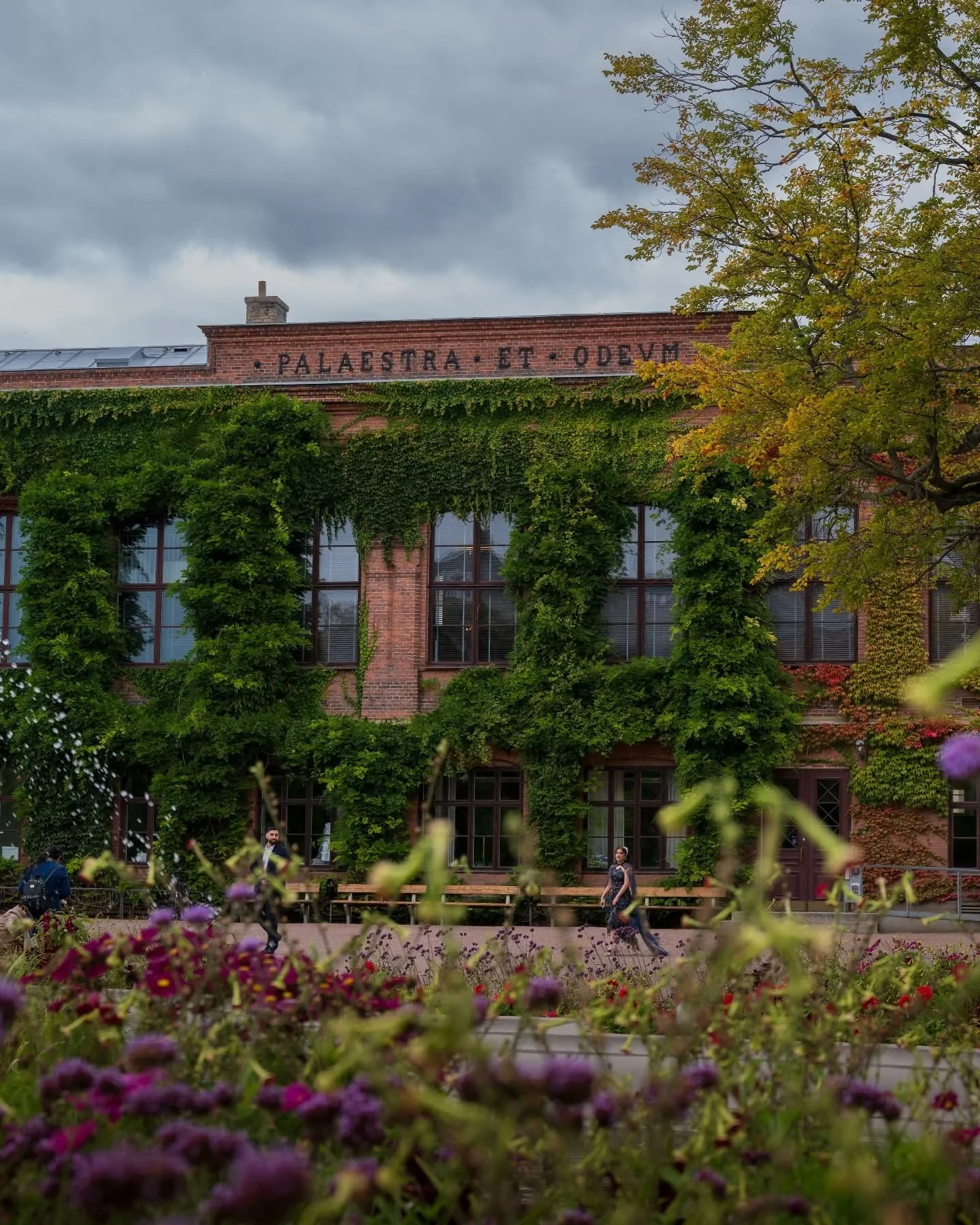 Autumn 🍂🍁 
.
.
.
.
.
#lund #visitlund #destination_lund #igerslund #lundcity #kings_villages #swedenimages #sweden_by_us #igerssweden #swedishmoments #fatalframes #igshotz #nikonphoto #nikonz6 #citylife #europesfinest #europeancities #smultronisver