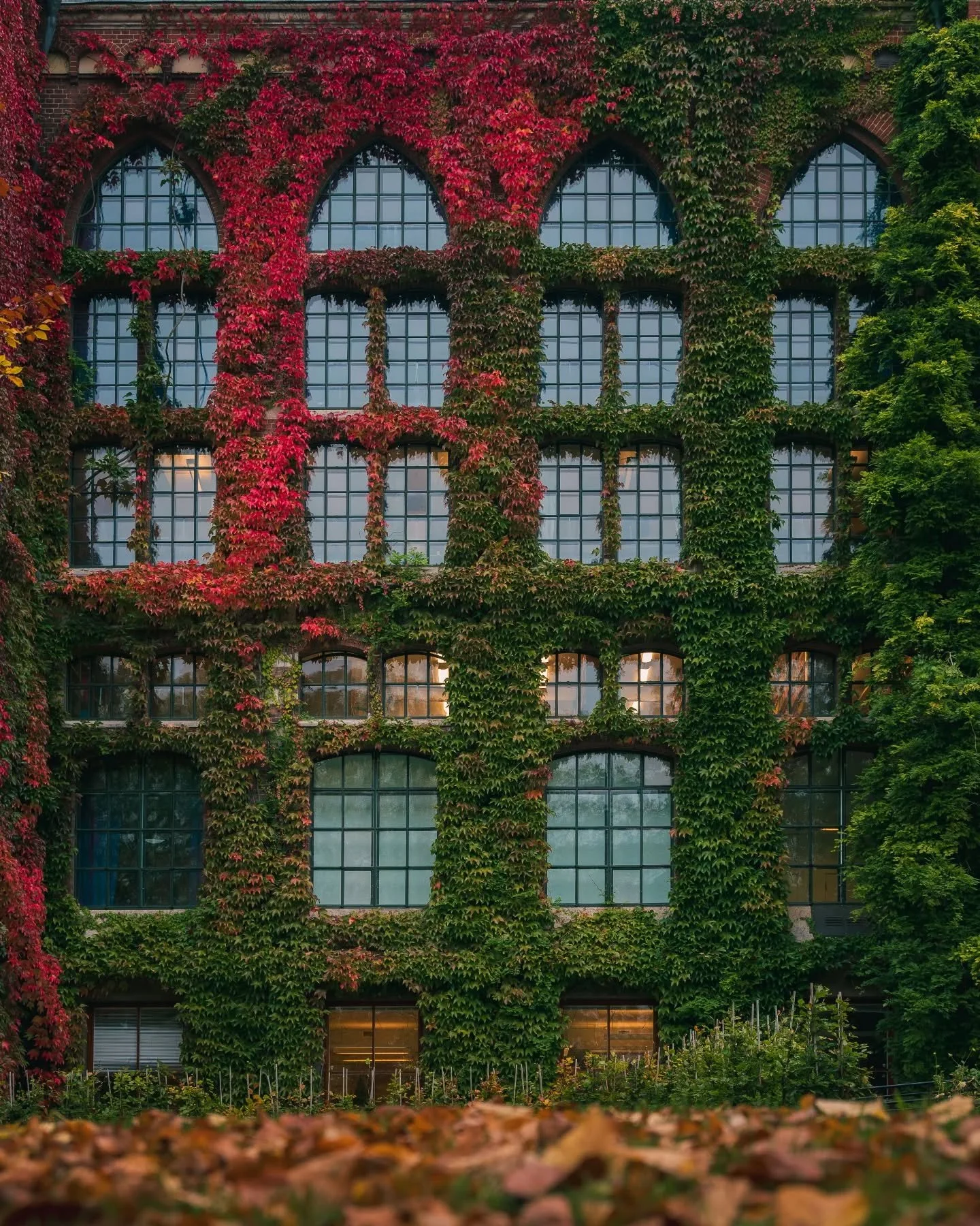 Deep colors.
.
.
.
.
.
#lund #visitlund #destination_lund #igerslund #lundcity #kings_villages #swedenimages #sweden_by_us #igerssweden #swedishmoments #fatalframes #igshotz #nikonphoto #nikonz6 #citylife #europesfinest #europeancities #smultronisver