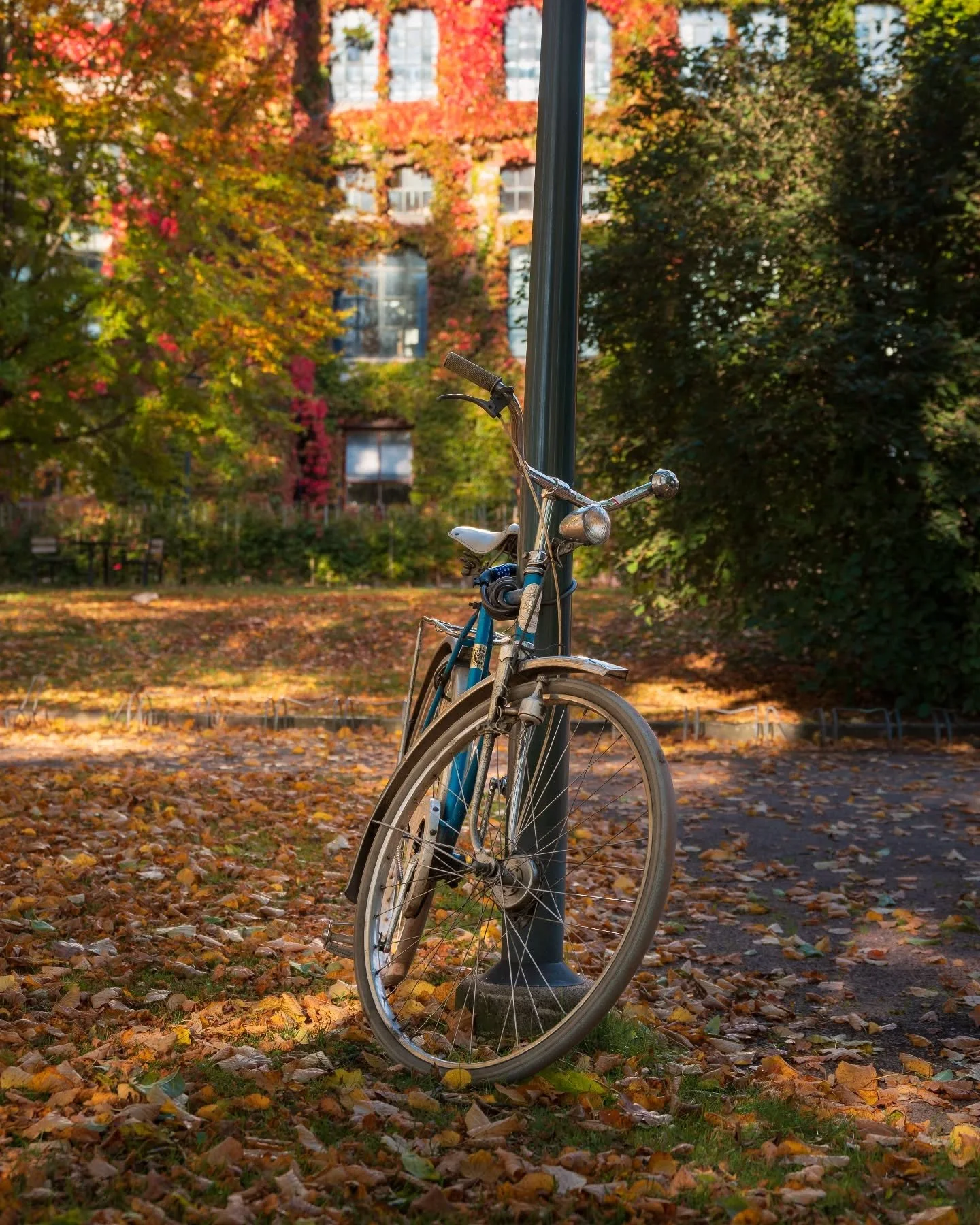 Bike parking.
.
.
.
.
.
#lund #visitlund #destination_lund #igerslund #lundcity #kings_villages #swedenimages #sweden_by_us #igerssweden #swedishmoments #fatalframes #igshotz #nikonphoto #nikonz6 #citylife #europesfinest #europeancities #smultronisve