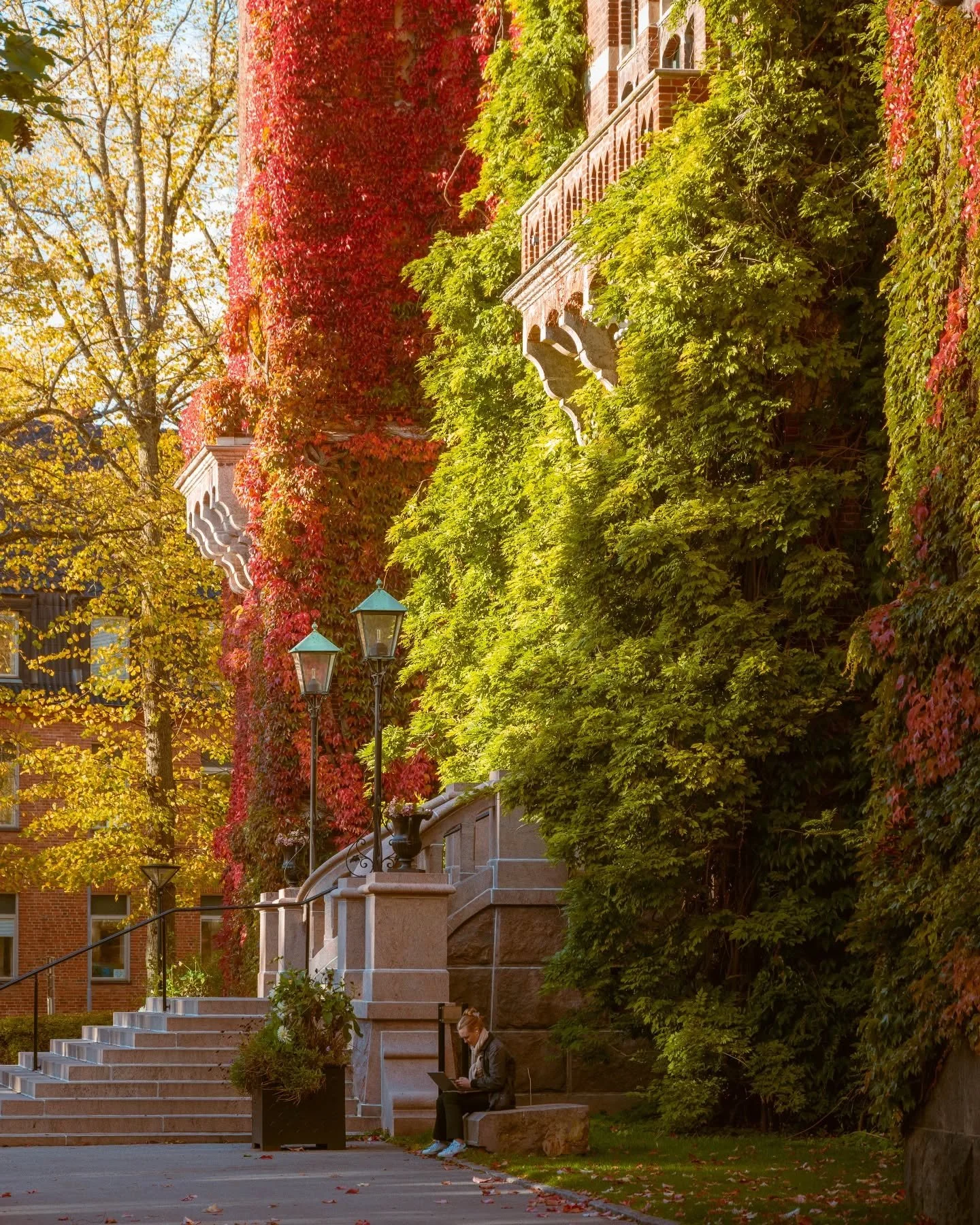 The perfect place to sit and do nothing (or something if you're into that).
.
.
.
.
.
#lund #visitlund #destination_lund #igerslund #lundcity #kings_villages #swedenimages #sweden_by_us #igerssweden #swedishmoments #fatalframes #igshotz #nikonphoto #