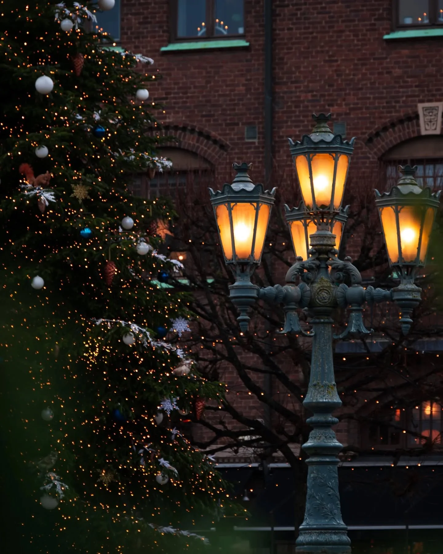 Look! Christmas lights!
.
.
.
.
.
#lund #visitlund #destination_lund #igerslund #lundcity #midwinter #kings_villages #swedenimages #sweden_by_us #igerssweden #fatalframes #igshotz #nikonphoto #nikonz6 #citylife #europesfinest #europeancities #naturep