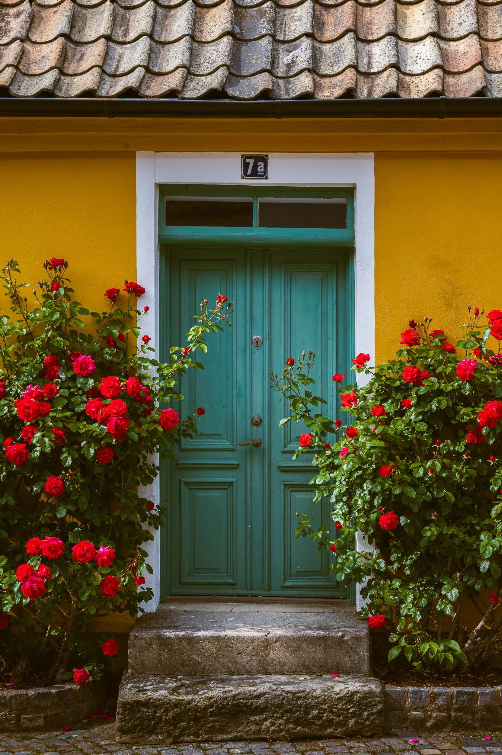 Architectural detail of a historic house in Lund, Sweden, highlighting bright yellow walls, a green wooden door, and blooming red roses.