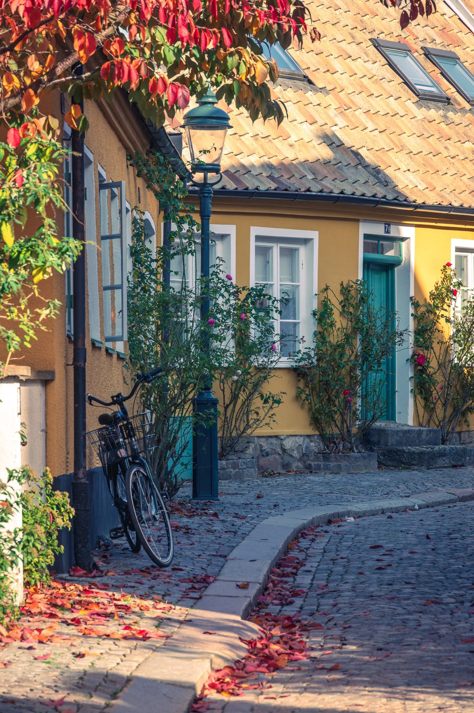 bicycle-parked-autumn-tree-adelgatan-lund.jpg