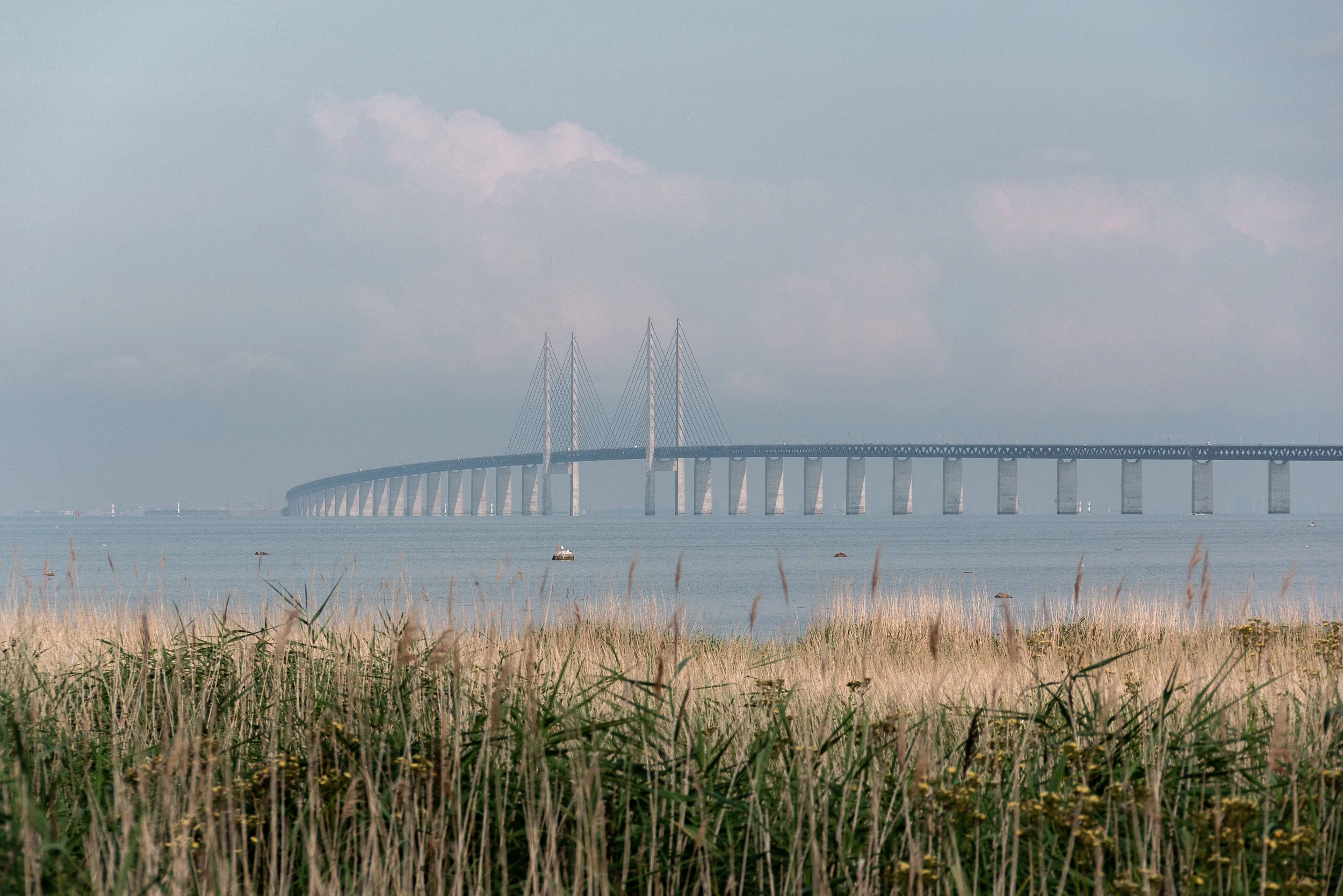 oresund-bridge-summer-morning.jpg