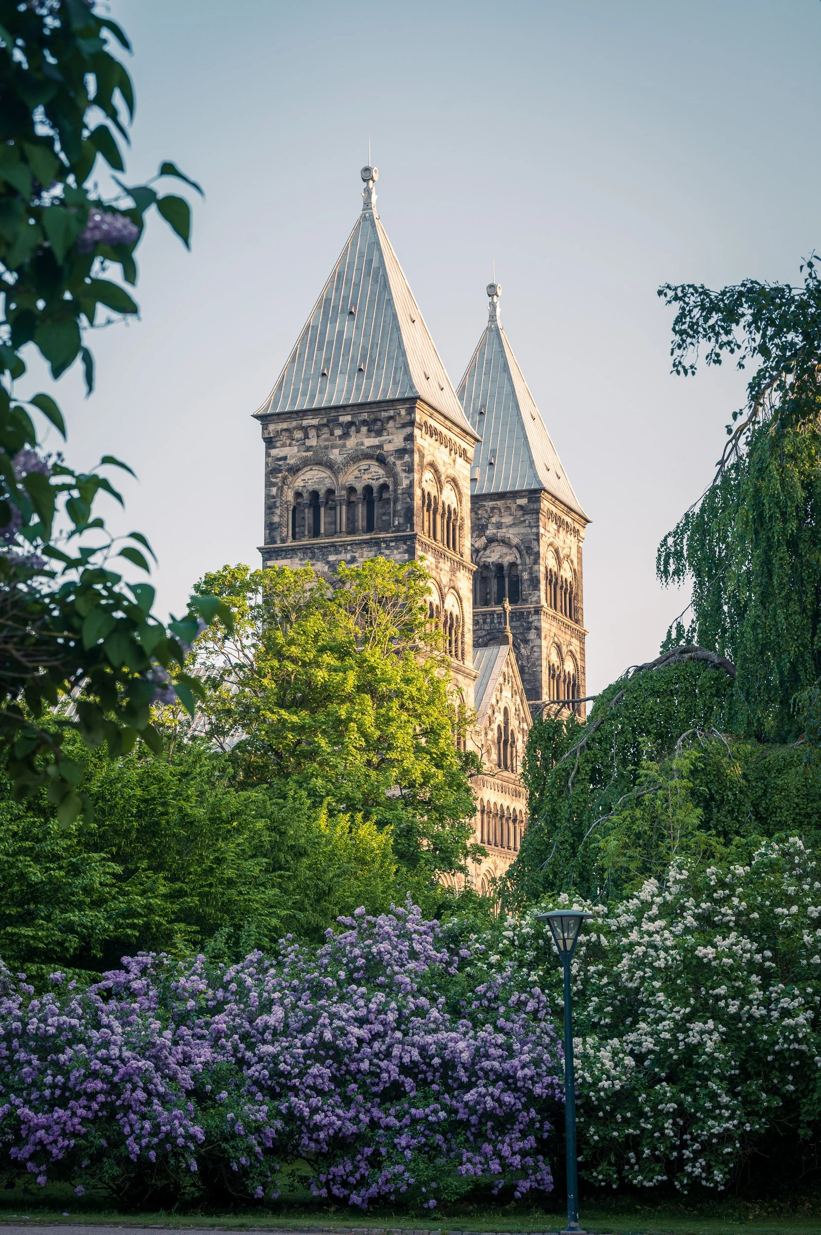 lund-cathedral-lilacs-sunset.jpg