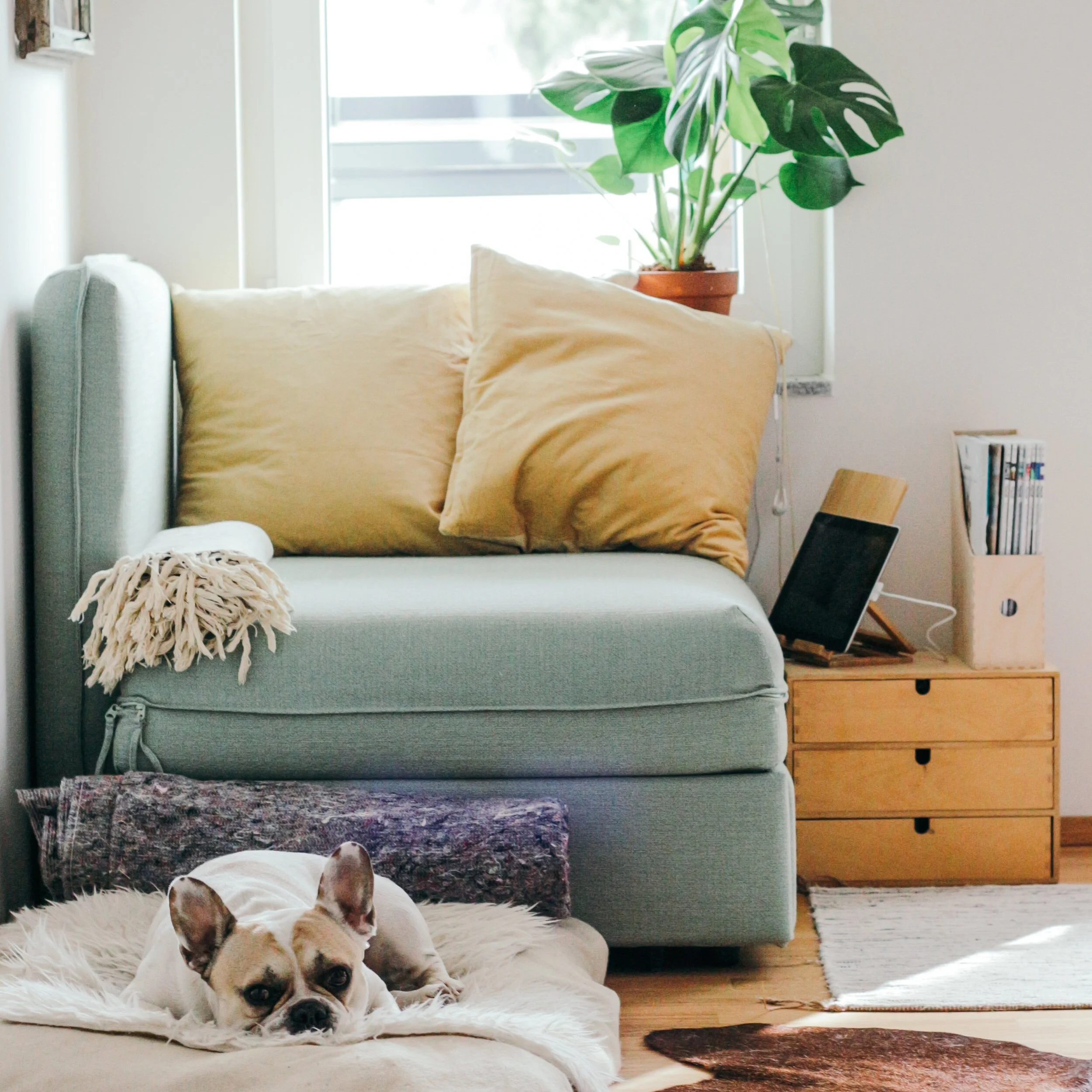 STRATEGIES FOR COPING DURING THE CORONAVIRUS (COVID19) PANDEMIC