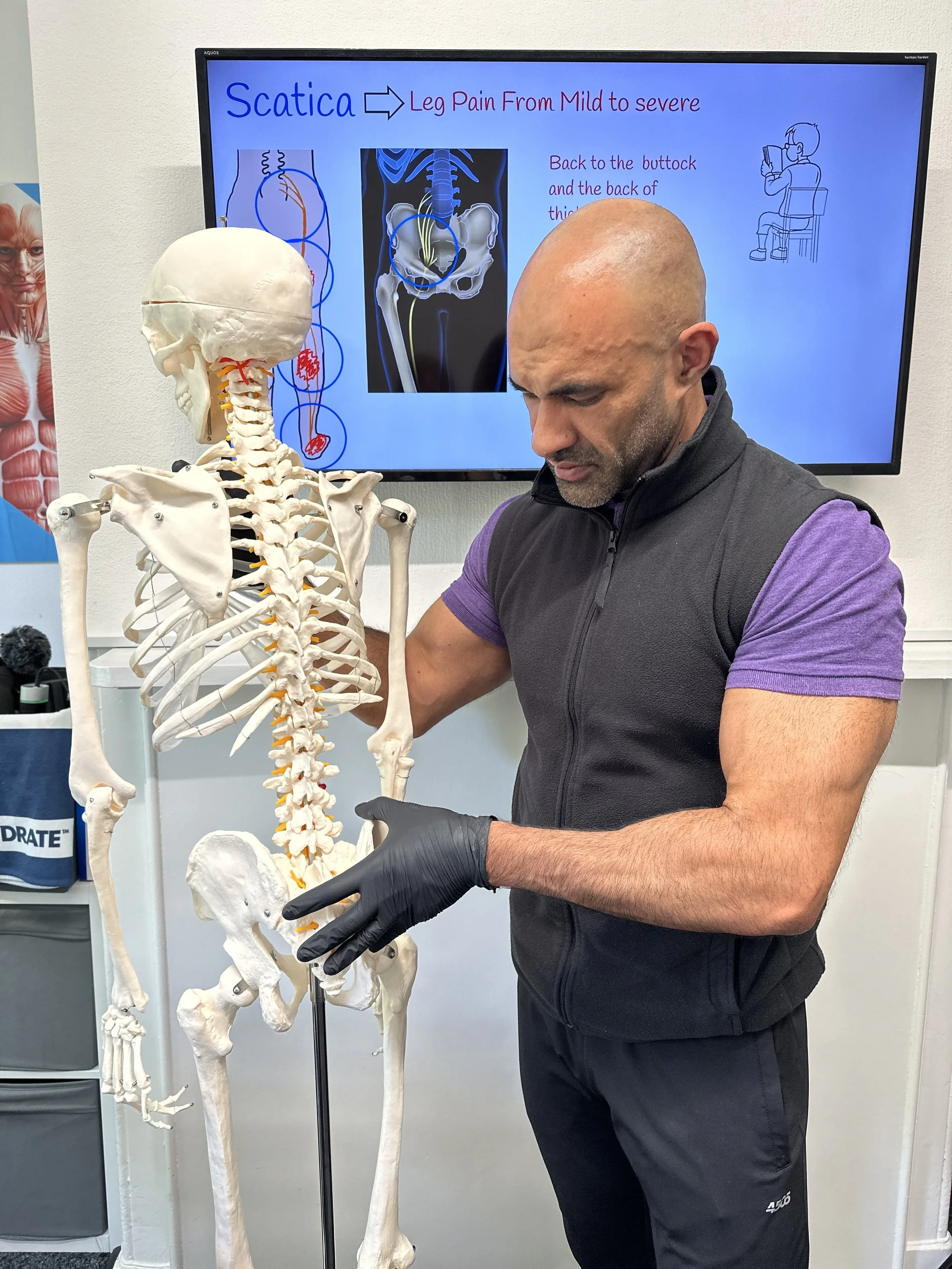 Body Alignment Clinic - Pain Management, Treatment and Rehabilitation
