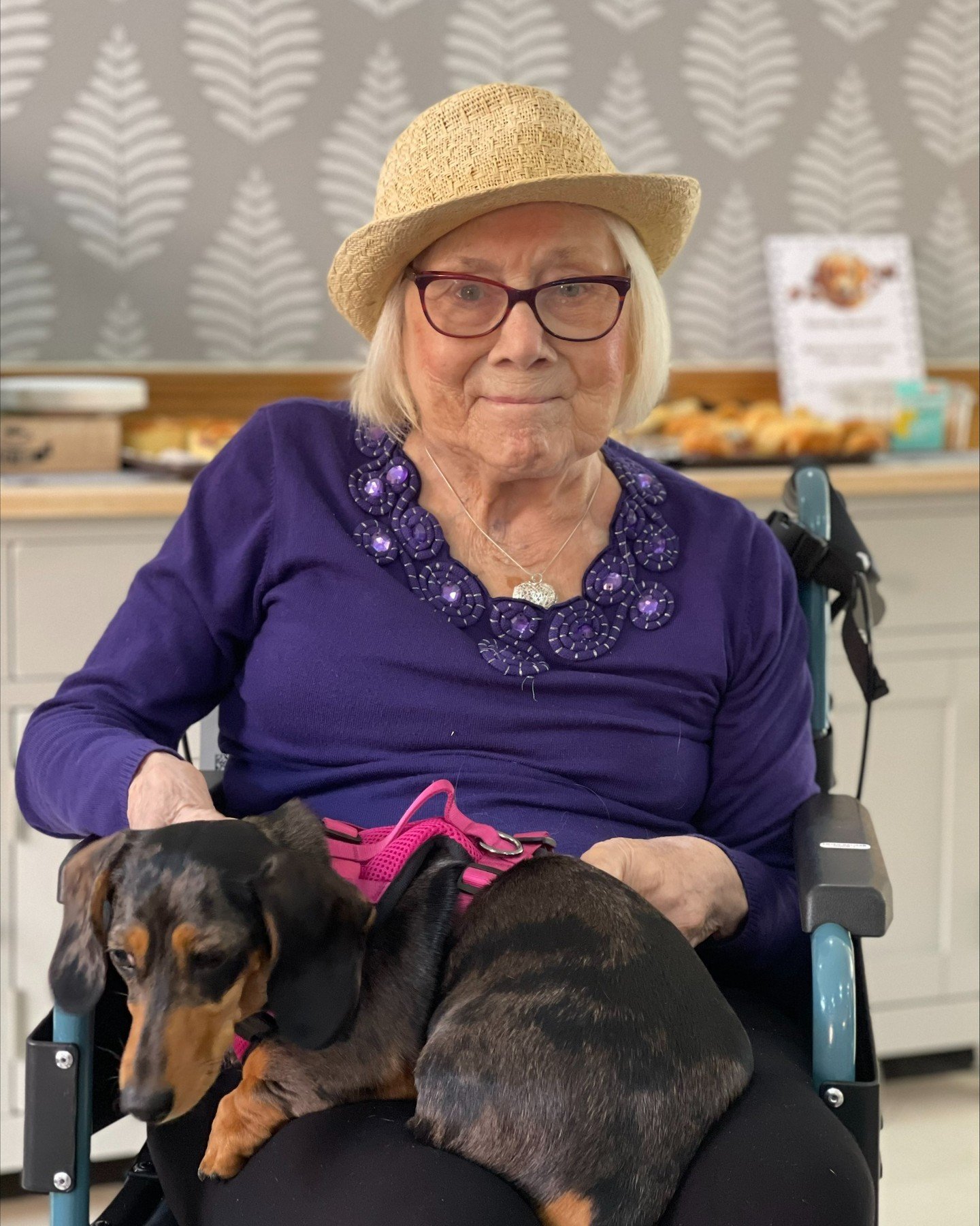 Excelcare's Sherrell House Care Home in Chigwell recently hosted its first Canine Coffee Morning, with residents, their families, and members of the local Chigwell community, plus their furry friends, all invited to join in the fun
See bio for link
#