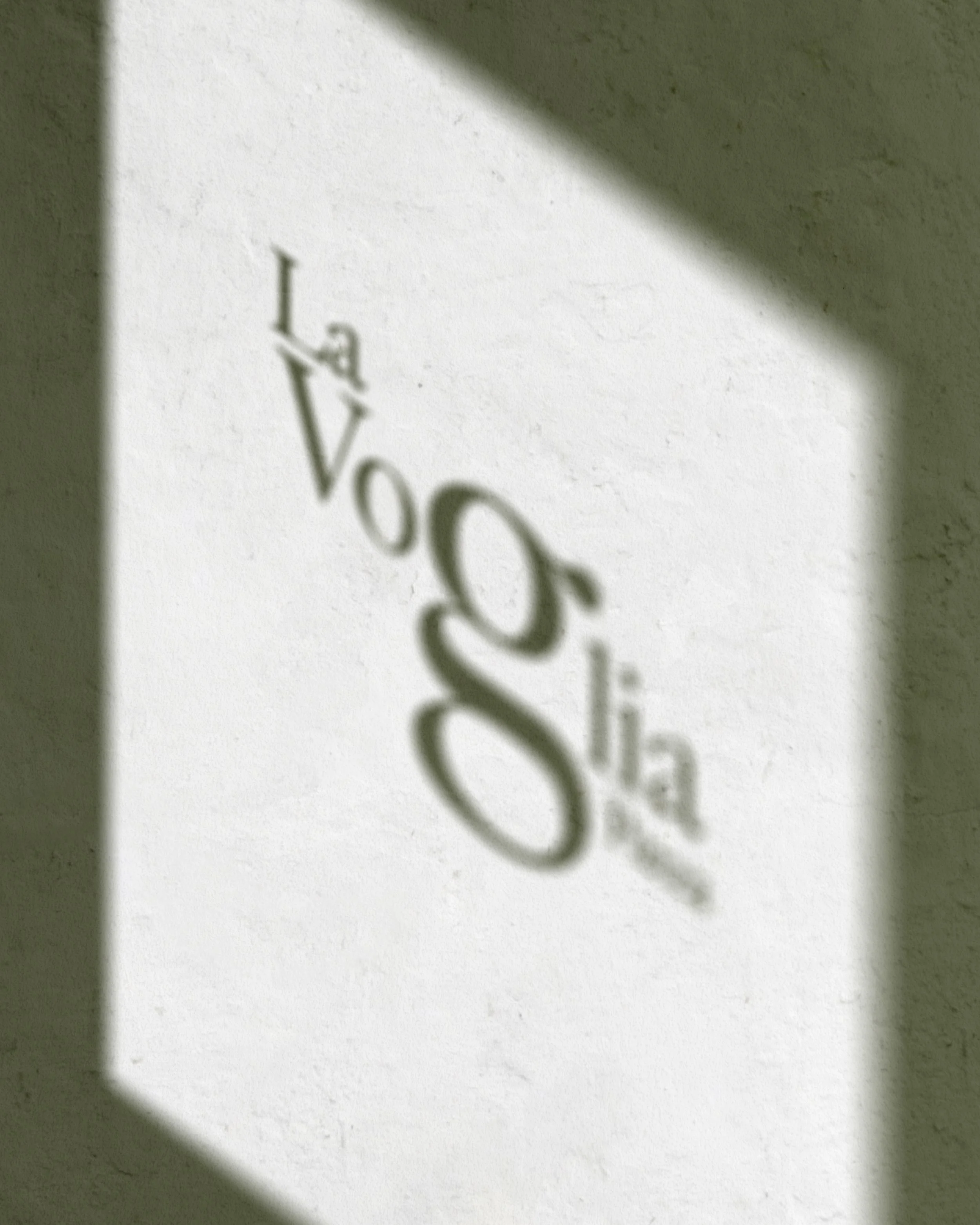 LOGO-MOCKUP copie.jpg