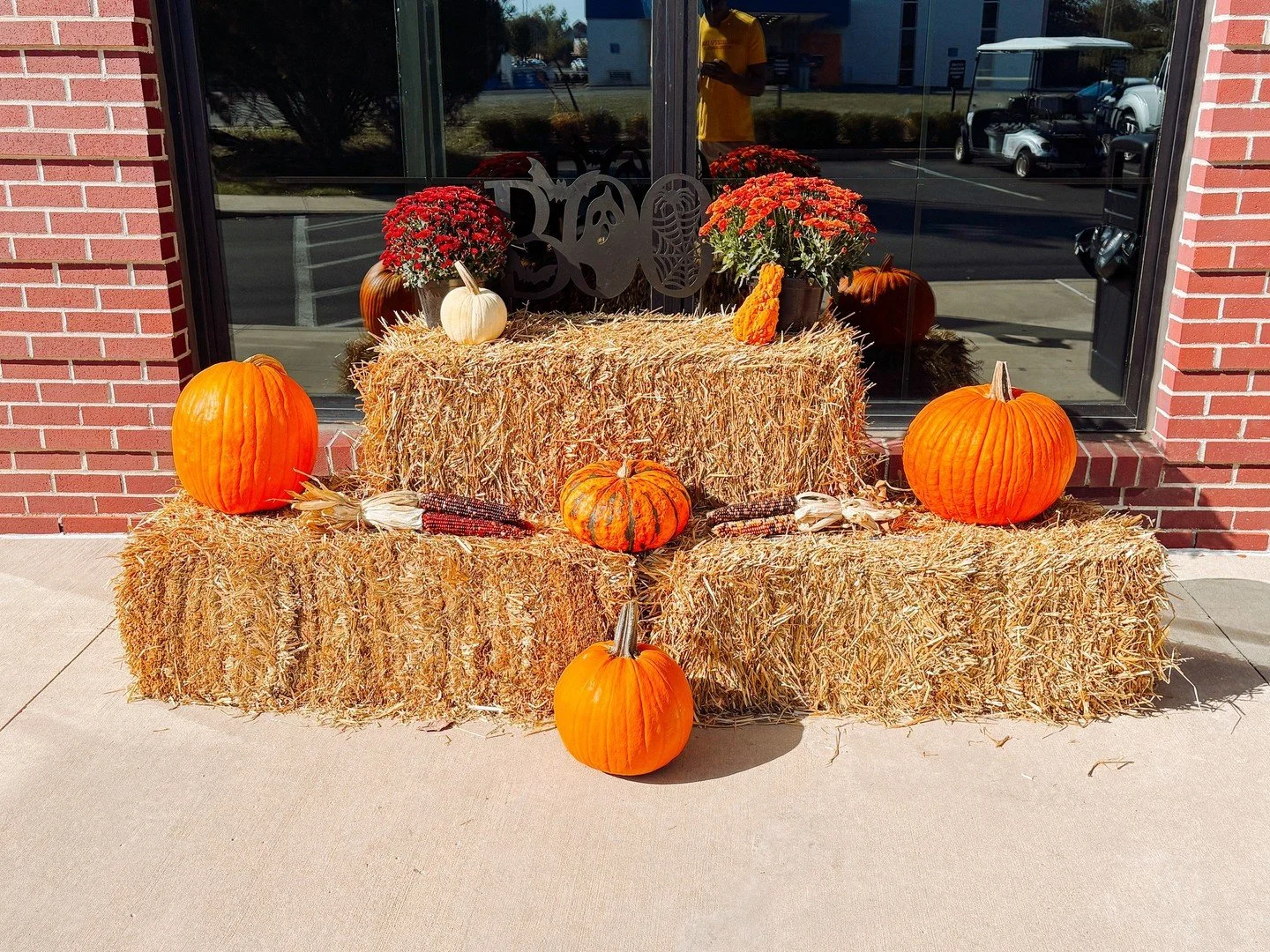 Come check out our new spooky photo spot the perfect place to snap some pics this season!