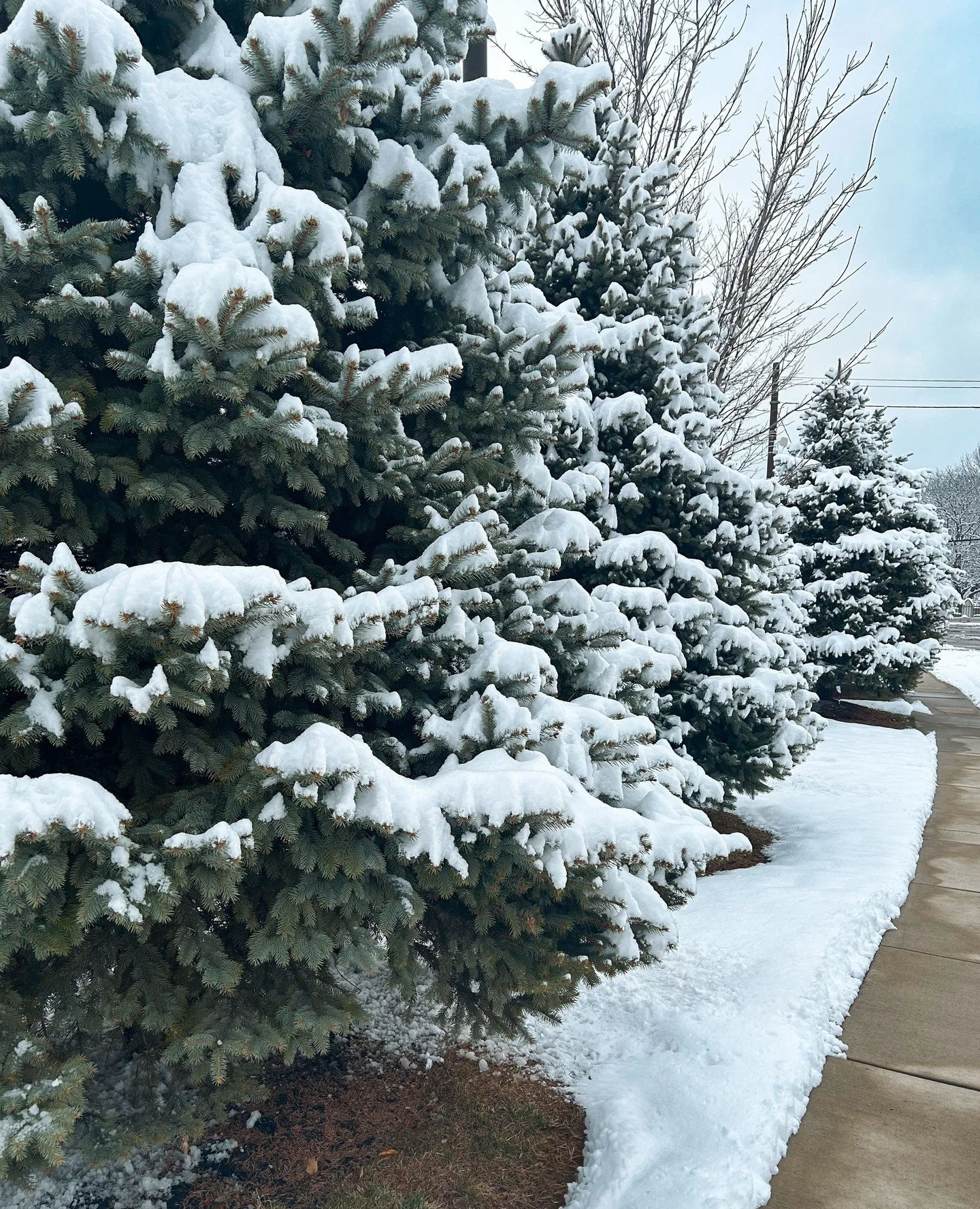 Winter vibes are officially in full swing! ⛄✨⁠
Help us plan the perfect lineup &mdash; what winter events or giveaways should UV do next?⁠
Comment your ideas below! 👇❄️