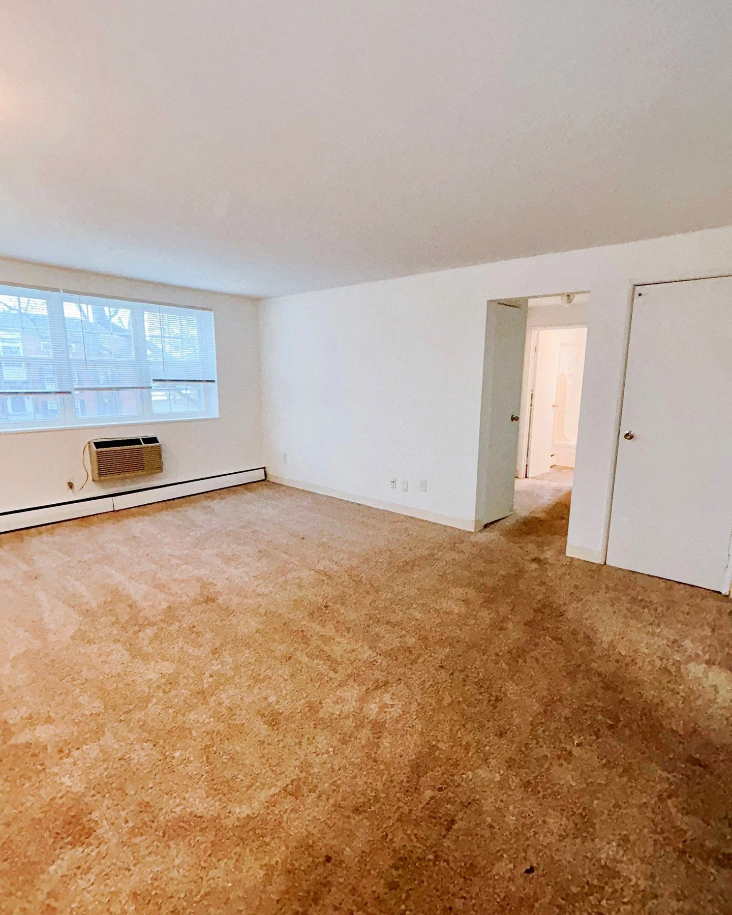 Now showing one of our 3-bedroom Griffin units &mdash; and it&rsquo;s ready for IMMEDIATE move-in 🤭⁠. ⁠
⁠
The Griffin is our only three bed unit and our biggest floor plan. Our Griffins grant you plenty of closet space and a spacious living room!⁠
⁠