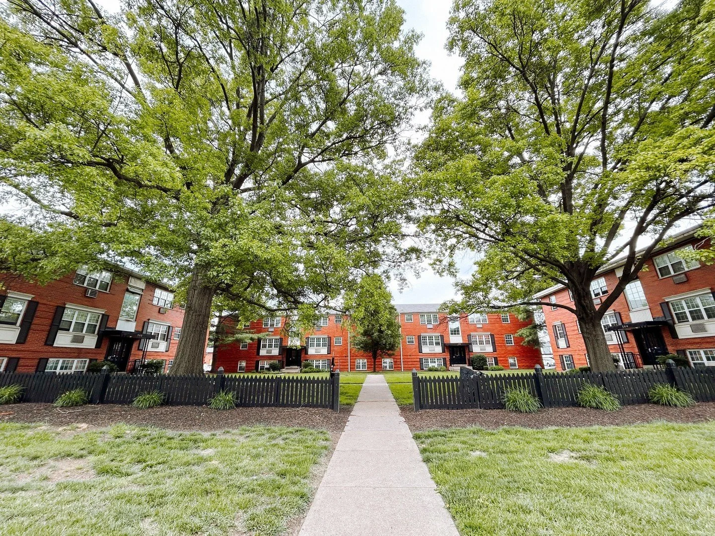 Views from the courtyard 💚 | We'll see you here TONIGHT from 5-7pm at our second Summer Pop-Up!⁠
⁠
📍 544 Stinchcomb Drive
