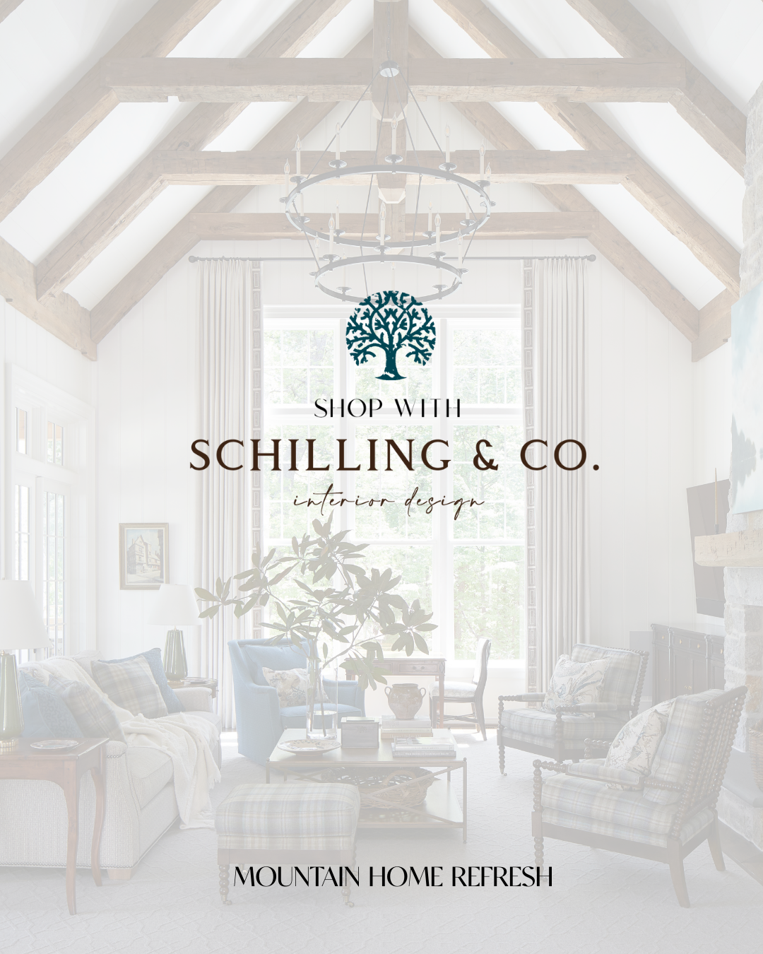 Shop W Schilling -2.png