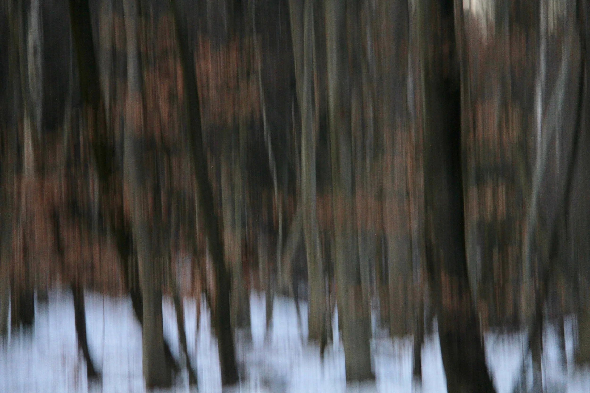 wintergray2.jpg