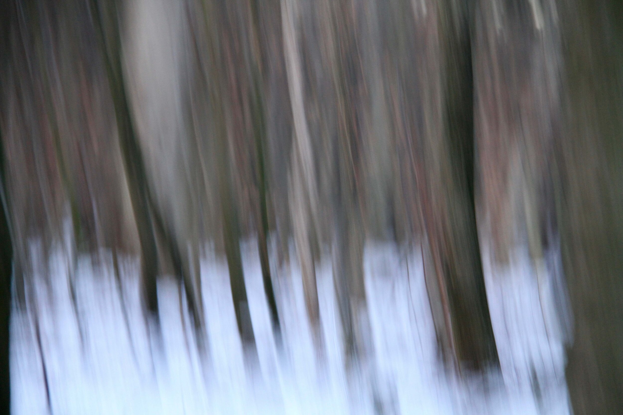 wintergray8.jpg