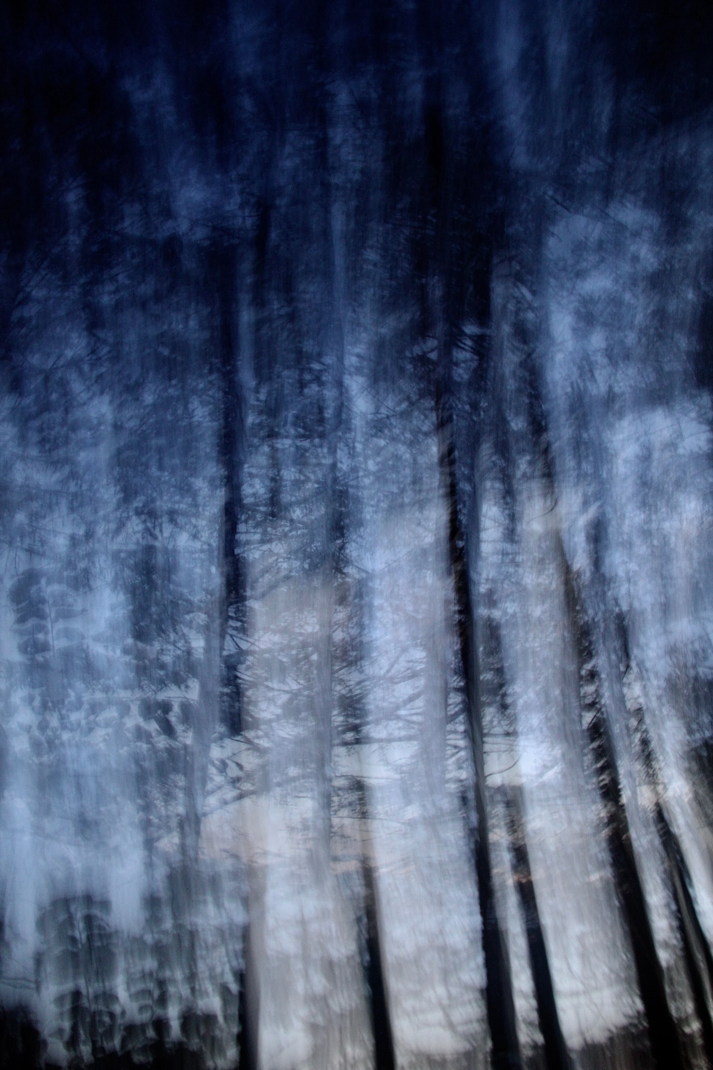 cosmic blue 3.jpg