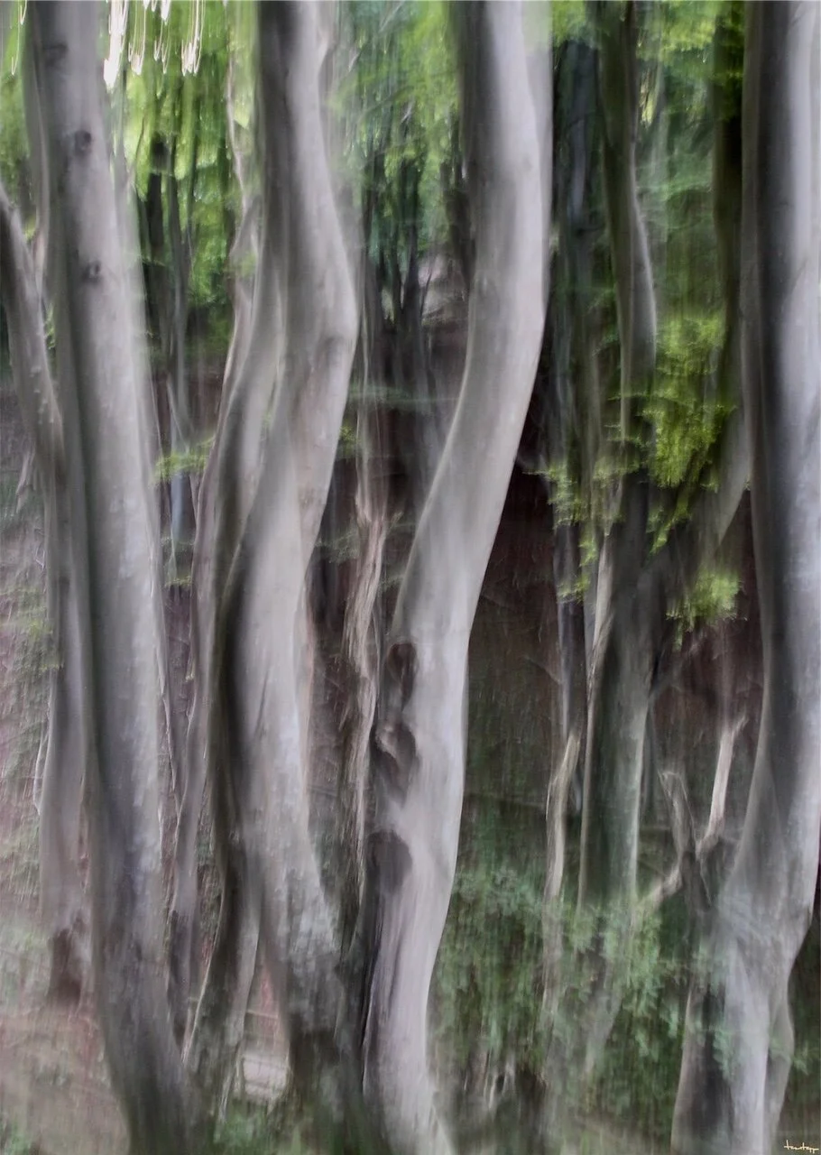 eZy Watermark_30-06-2020_10-29-27PM.JPG