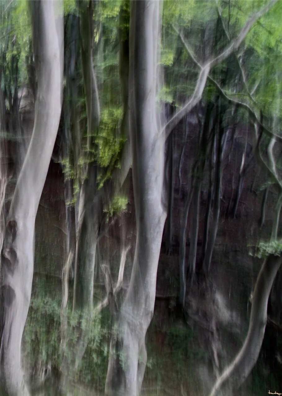 eZy Watermark_30-06-2020_10-31-13PM.JPG