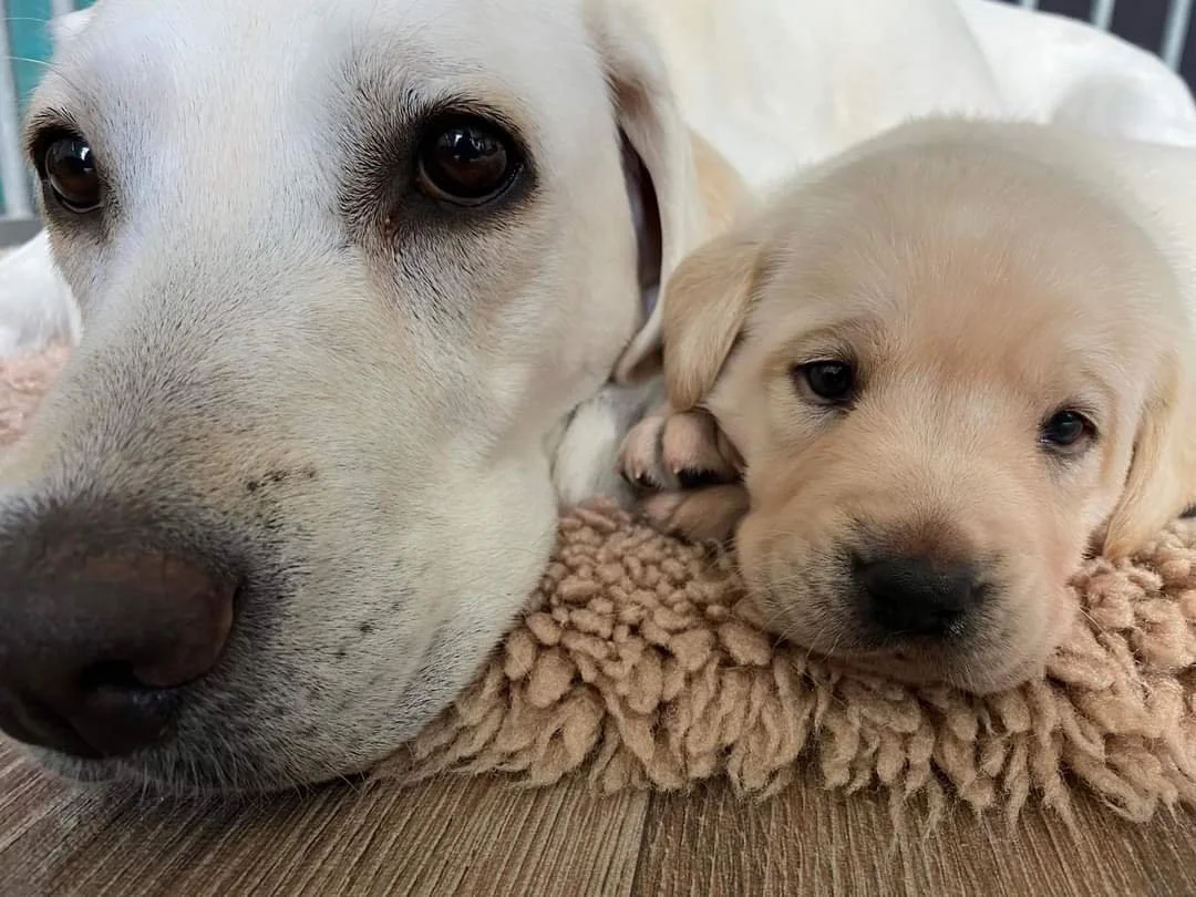 (Op je) zelfvertrouwen, hoe doe je dat?