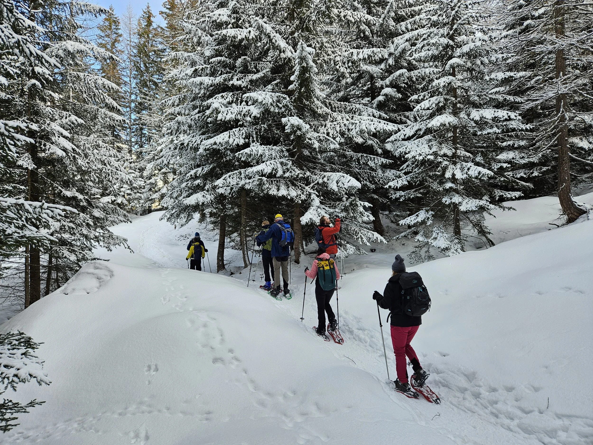 VOL! - Sneeuwwandelen Dolomieten – Rust, natuur en indrukwekkende bergtoppen