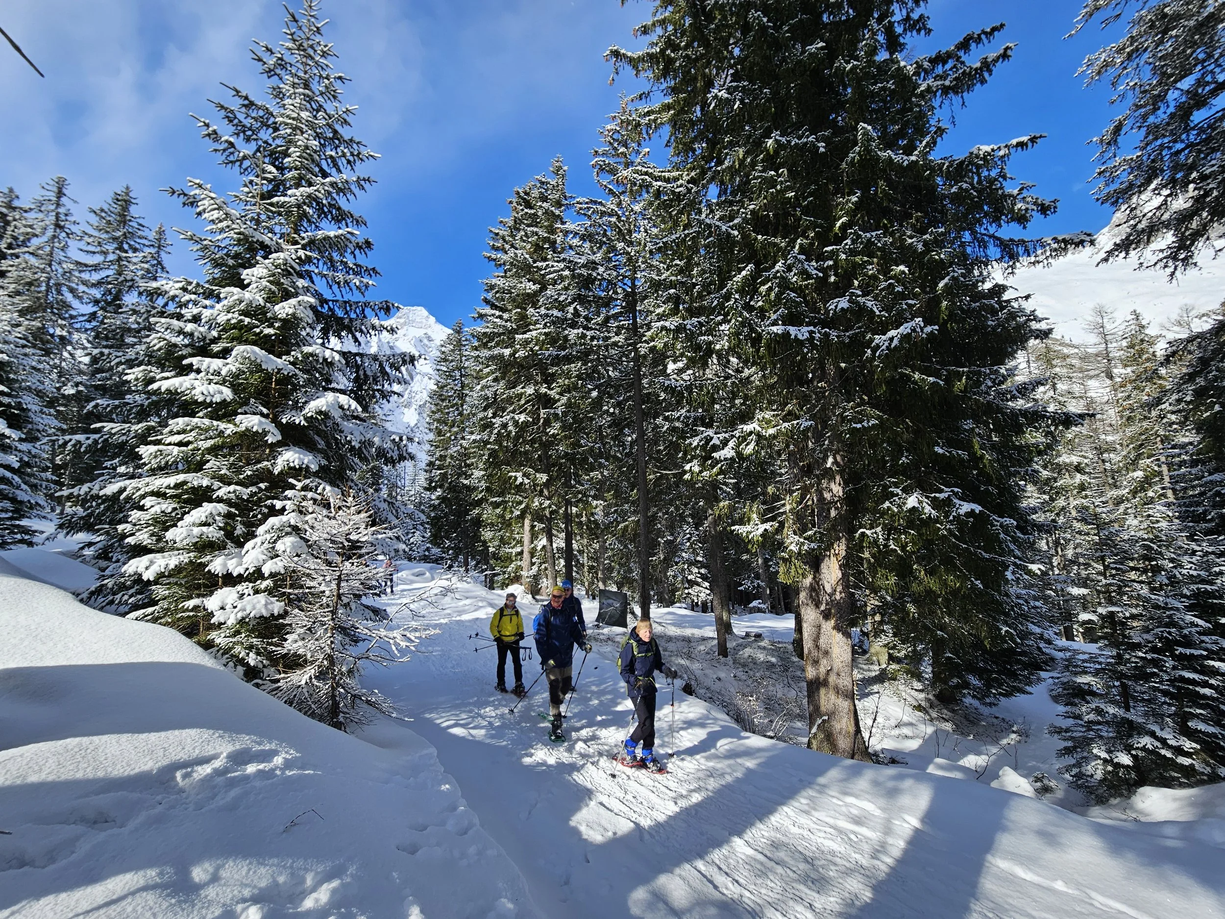 VOL! - Sneeuwschoenwandelen Tannheimer Tal