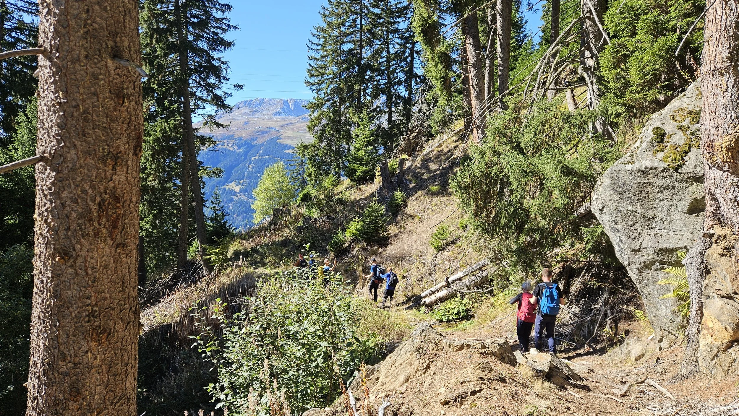 Bergwandelen met vips en buddy´s